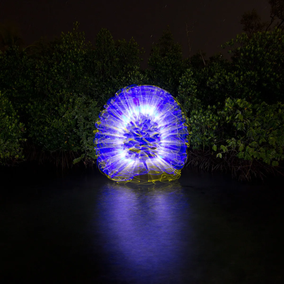 Light Painting Brushes Deluxe Starter Kit