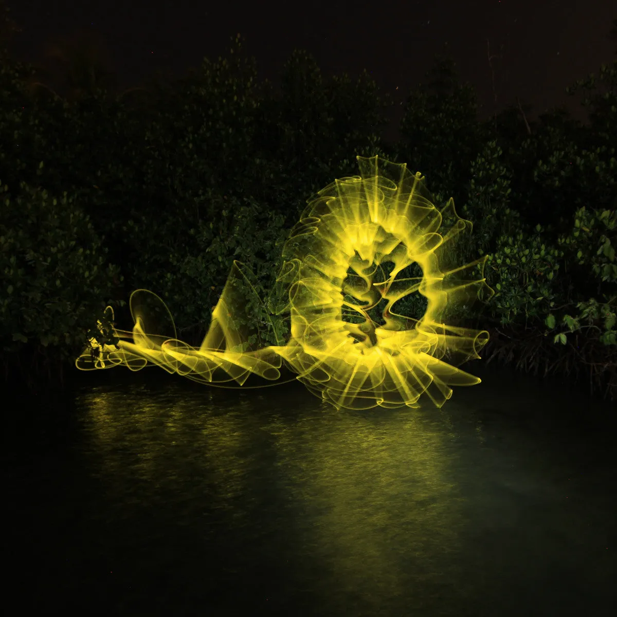 Light Painting Brushes Deluxe Starter Kit