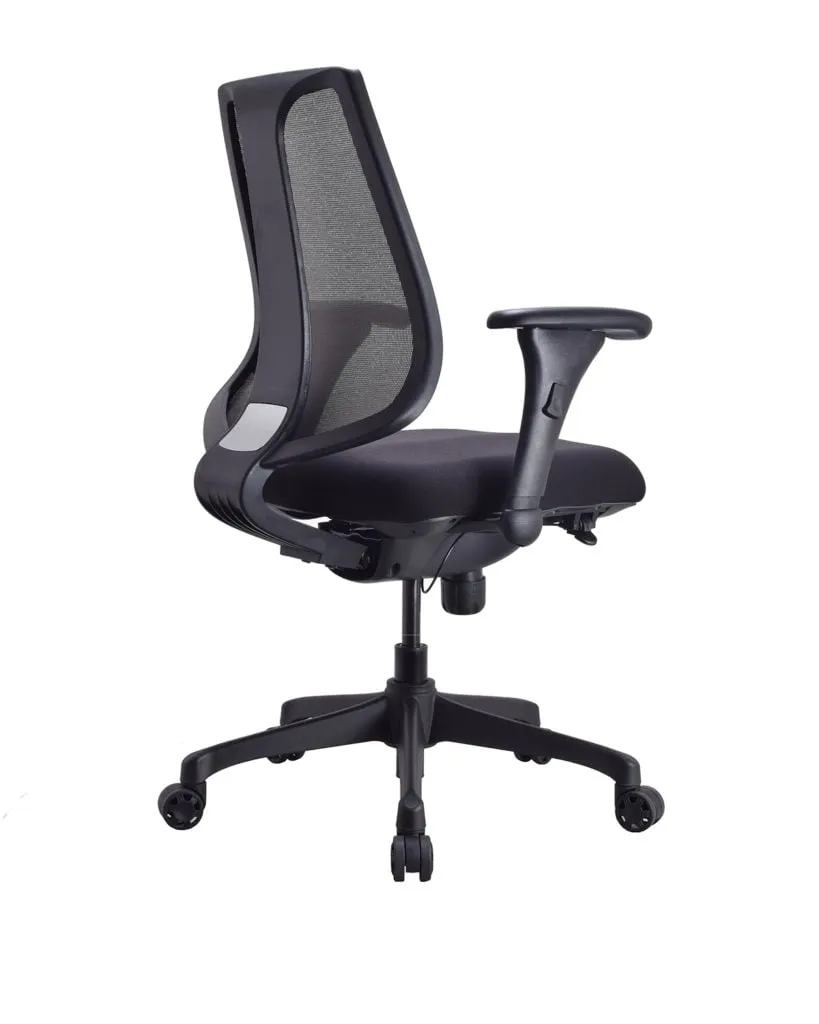 Low Back Executive Office Chair with Nylon Base