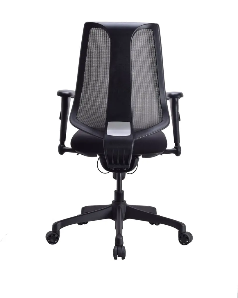 Low Back Executive Office Chair with Nylon Base