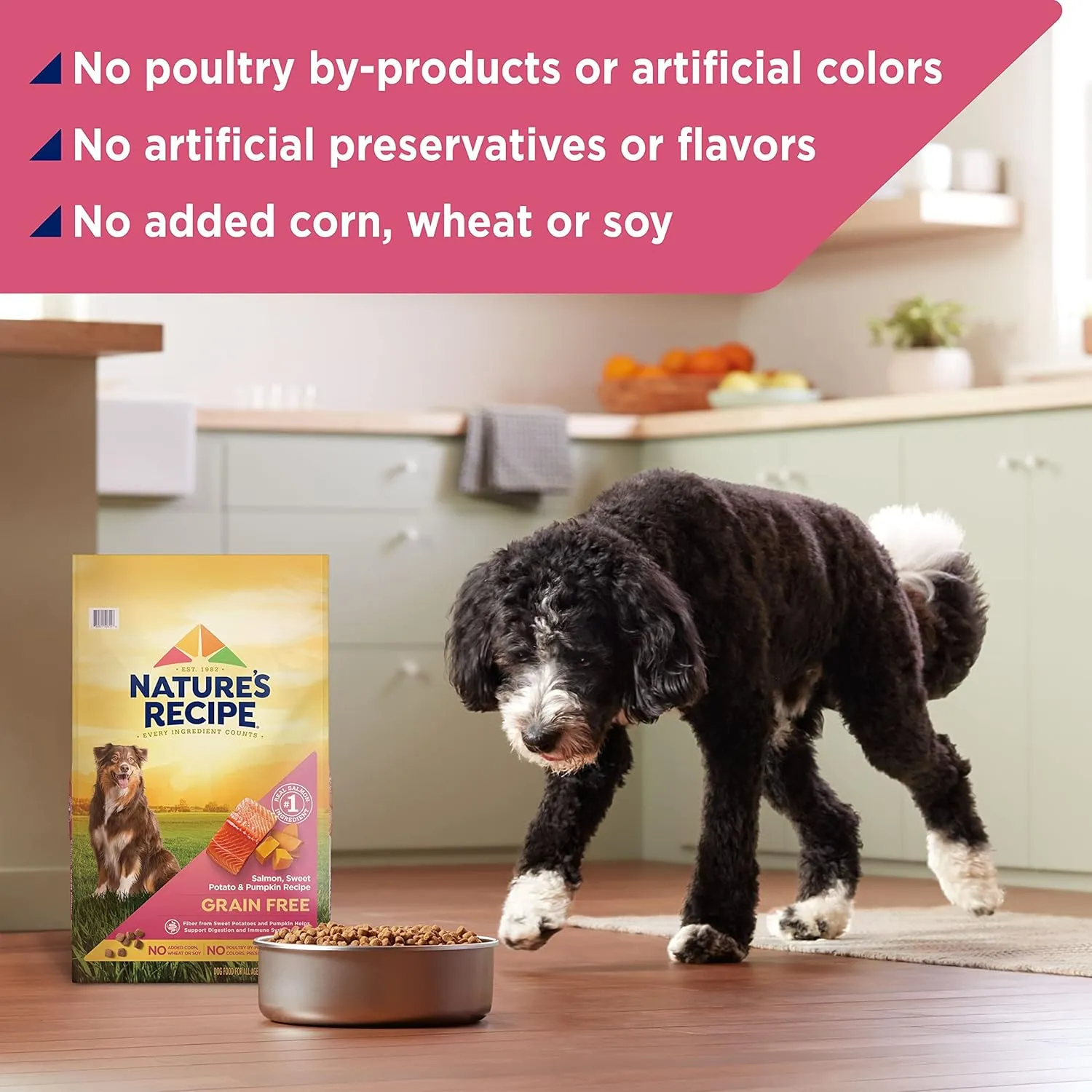 Nature’s Recipe Grain Free Salmon, Sweet Potato & Pumpkin Recipe Dry Dog Food, 12 lb. Bag