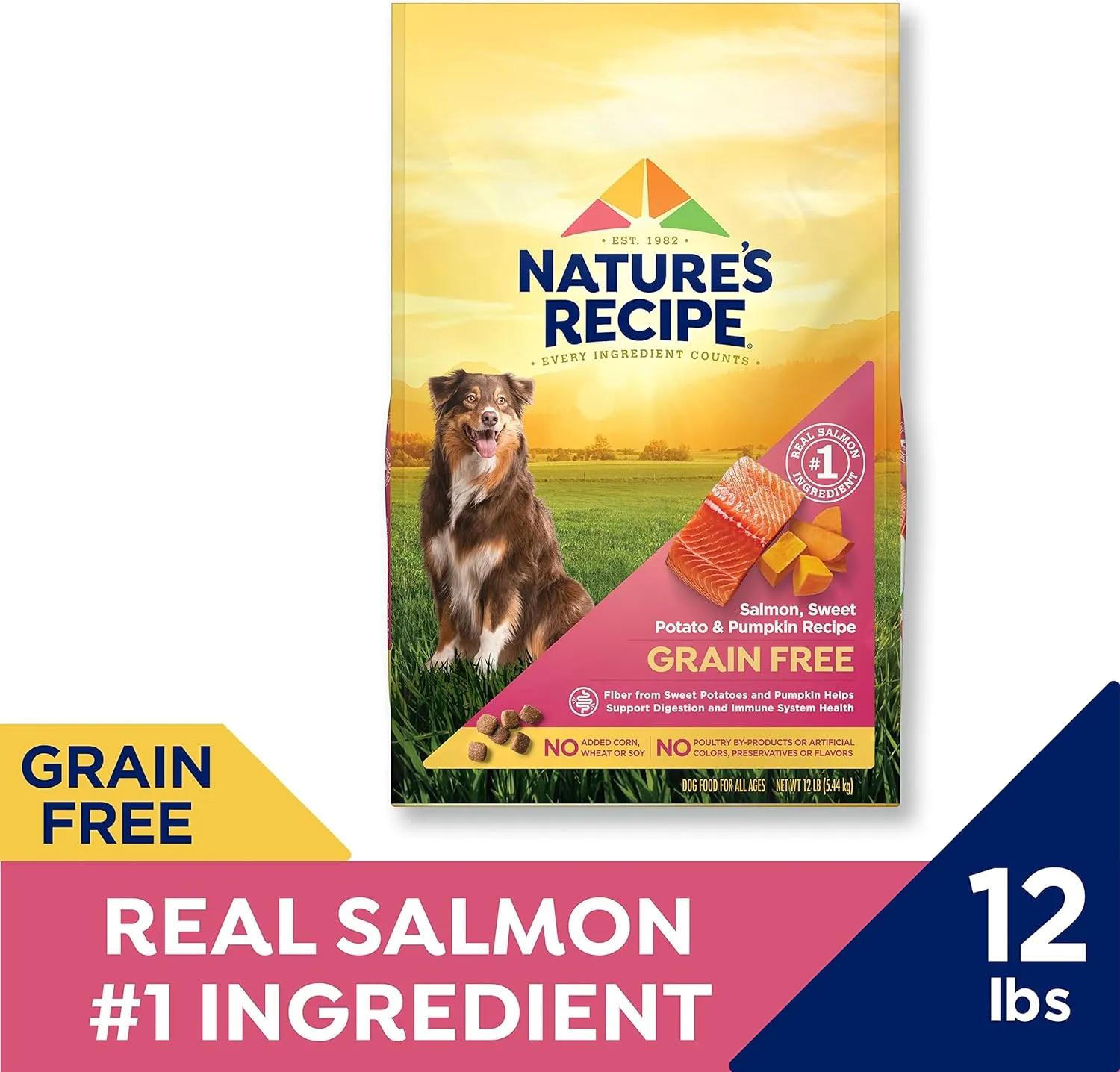 Nature’s Recipe Grain Free Salmon, Sweet Potato & Pumpkin Recipe Dry Dog Food, 12 lb. Bag