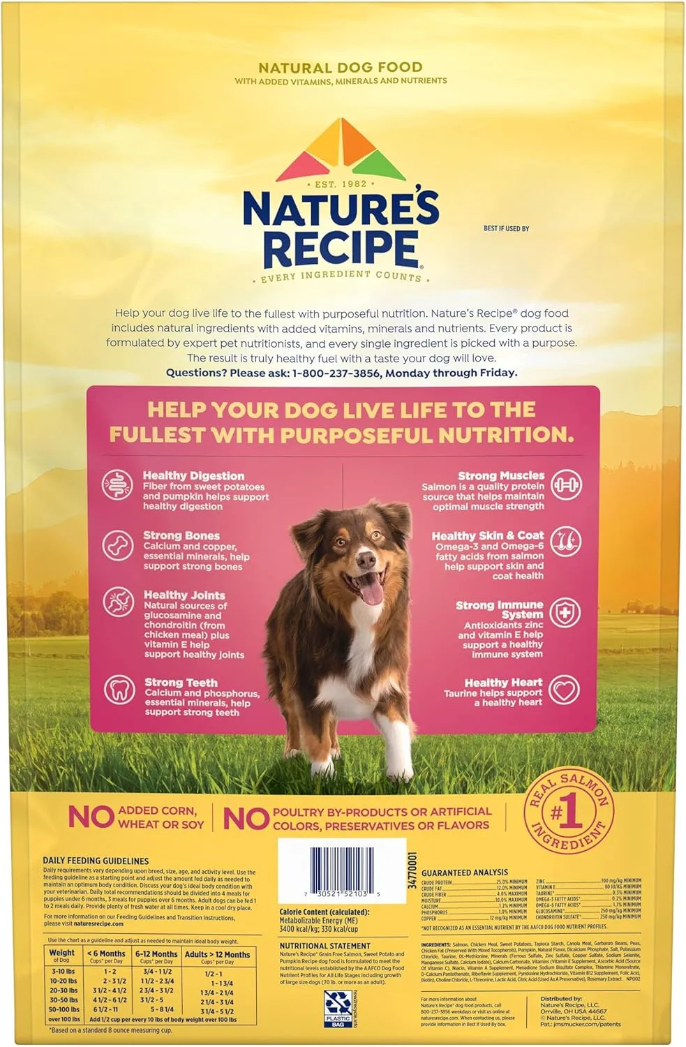 Nature’s Recipe Grain Free Salmon, Sweet Potato & Pumpkin Recipe Dry Dog Food, 12 lb. Bag