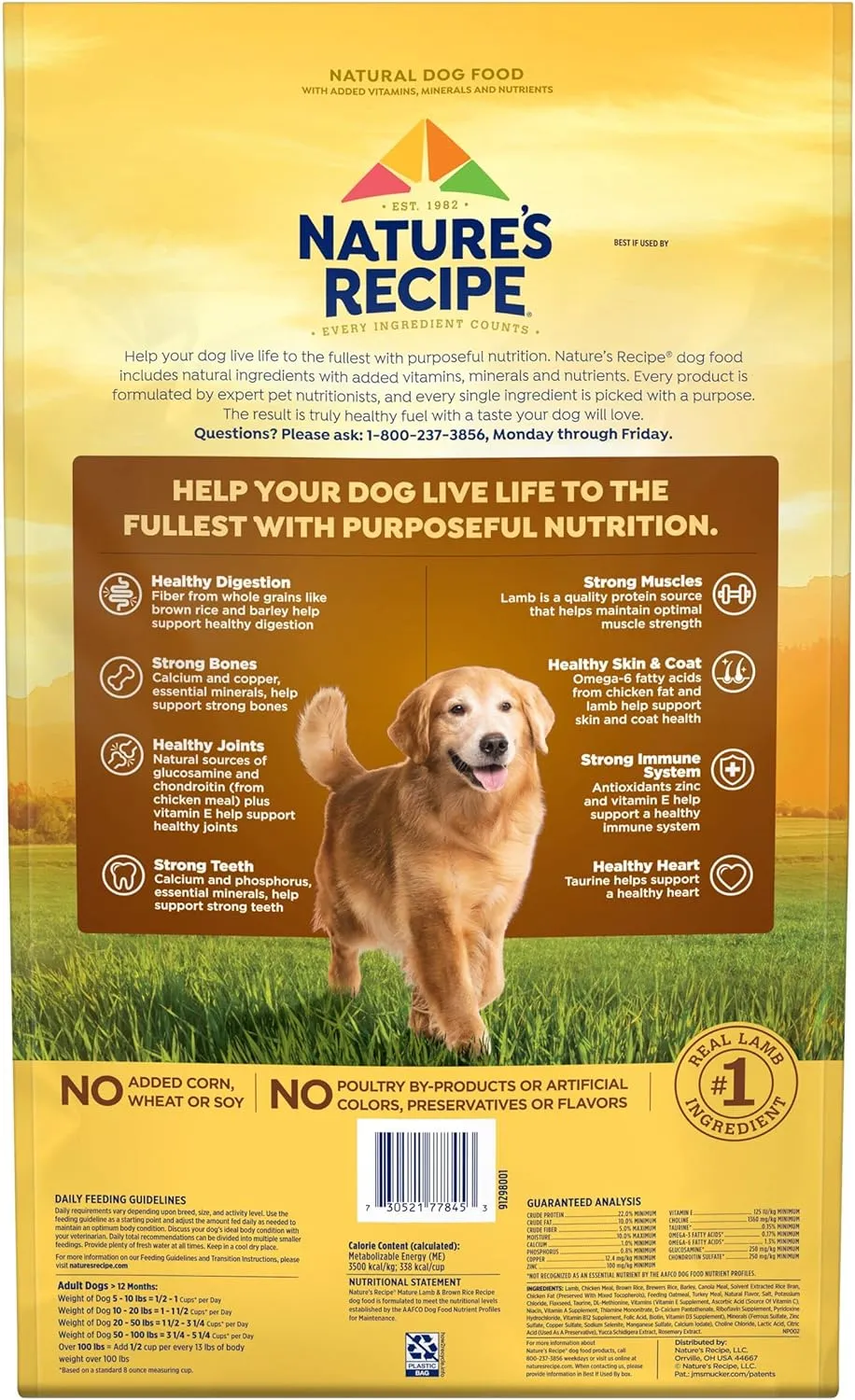 Nature’s Recipe Mature Lamb & Brown Rice Recipe Dry Dog Food, 24 lb. Bag