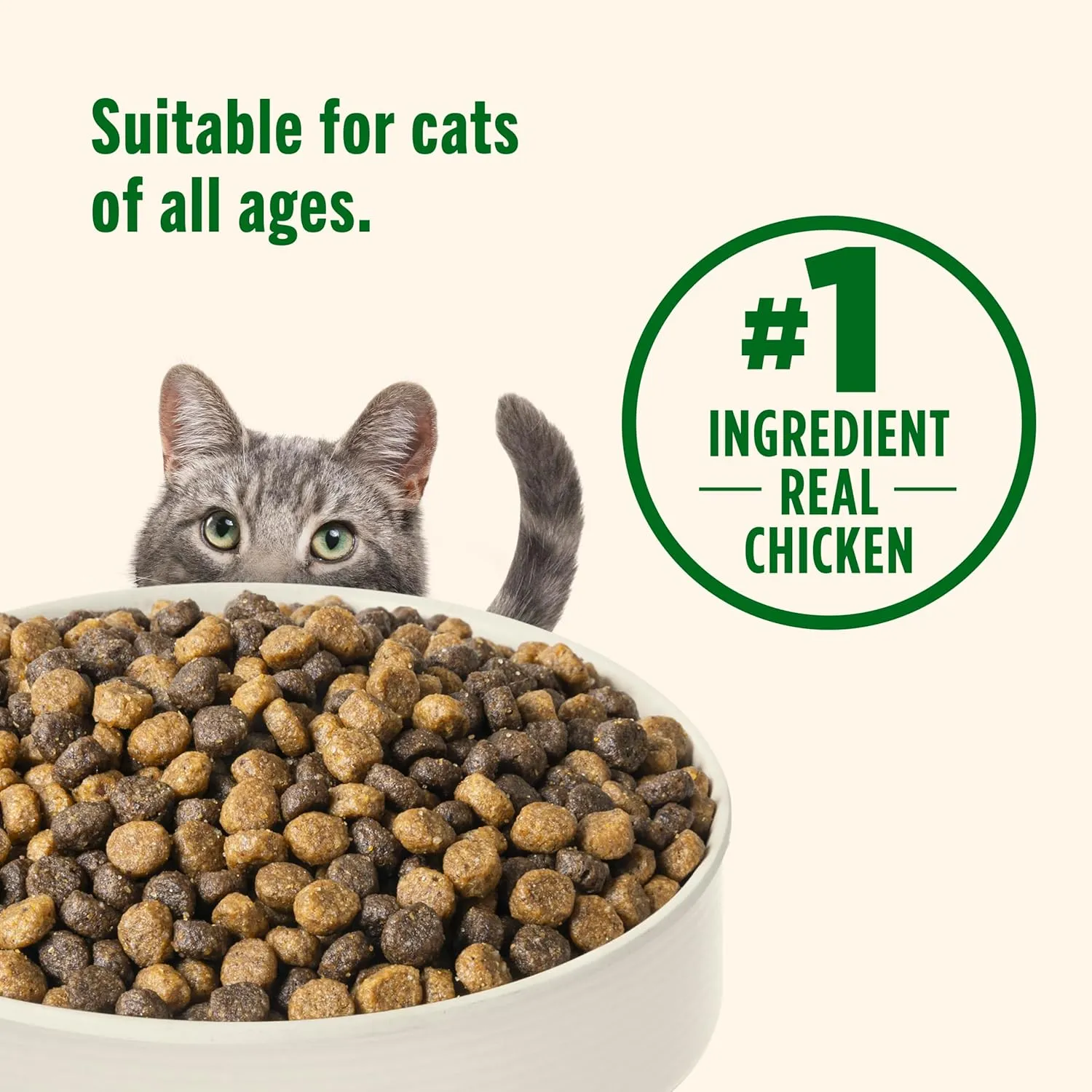 Nutrish Real Chicken & Brown Rice Recipe Dry Cat Food, 14 lb. Bag, Packaging May Vary (Rachael Ray)