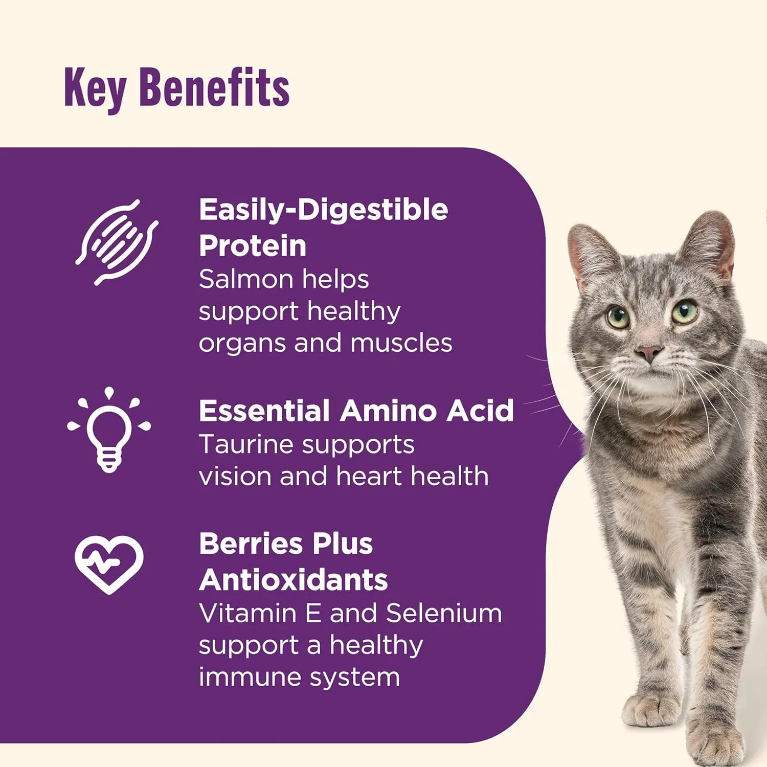 Nutrish Senior Healthy Aging Chicken, Chickpea and Salmon Dry Cat Food, 13 lb. Bag (Rachael Ray)