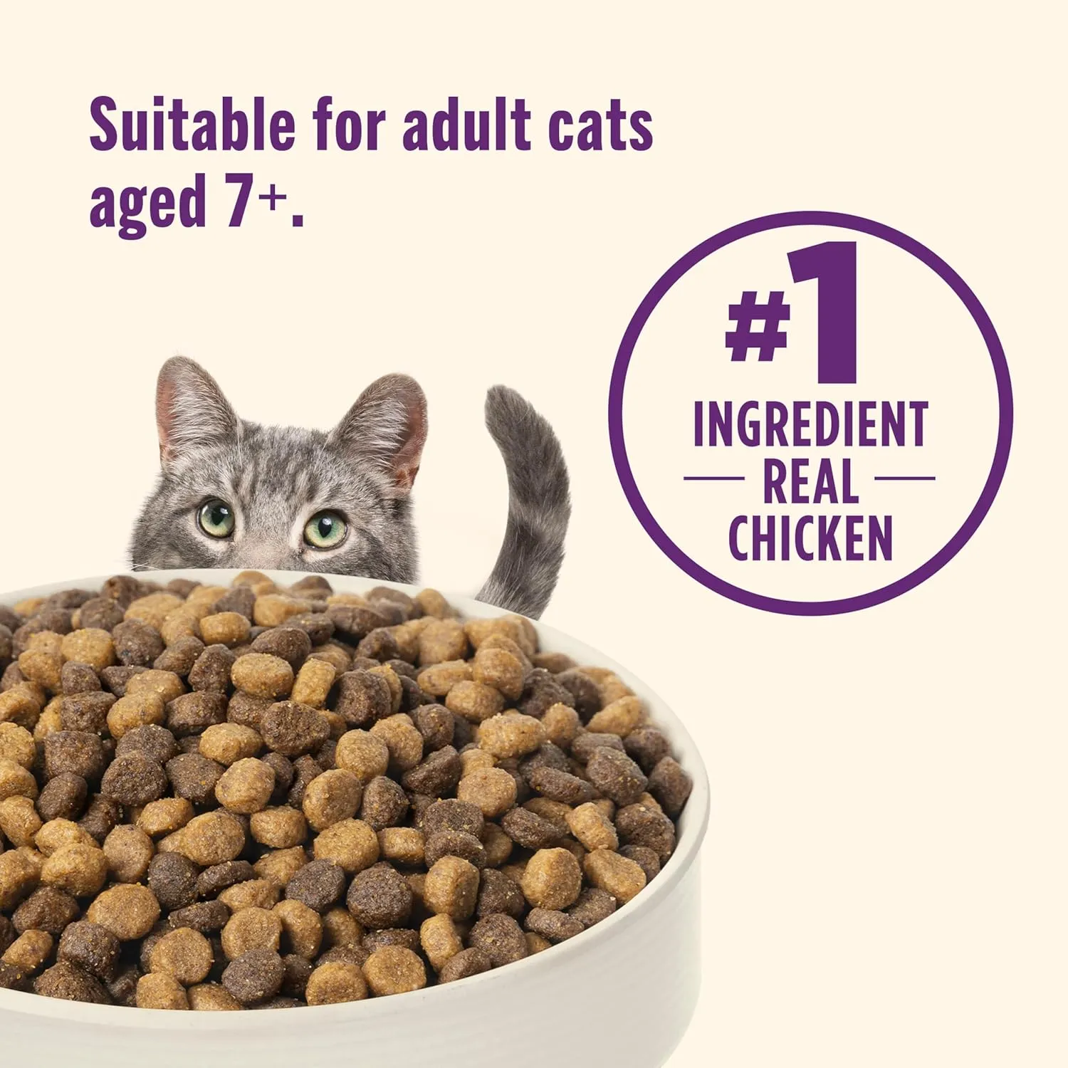Nutrish Senior Healthy Aging Chicken, Chickpea and Salmon Dry Cat Food, 13 lb. Bag (Rachael Ray)