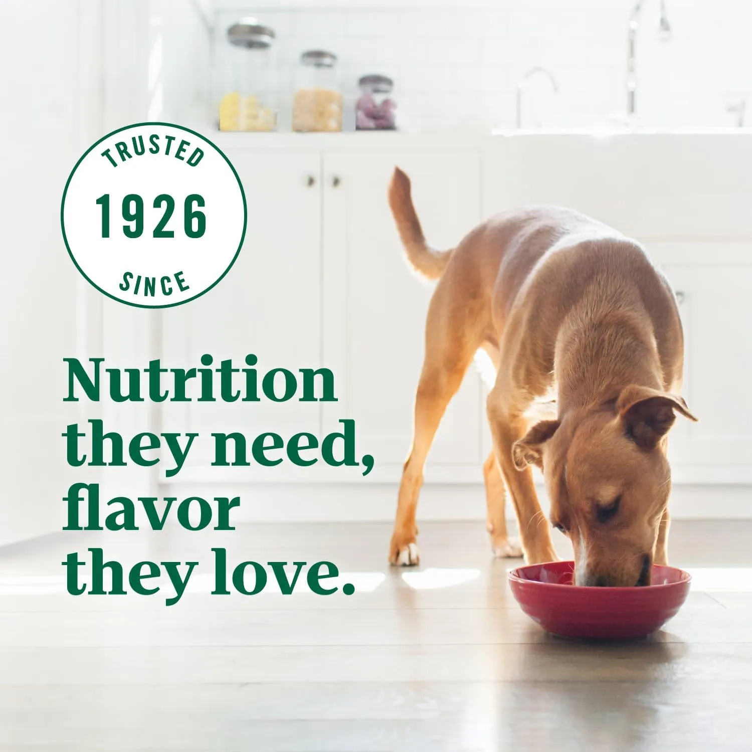 Nutro Ultra Adult Weight Management Dry Dog Food, Chicken, Lamb and Salmon Protein Trio, 24 lb. Bag