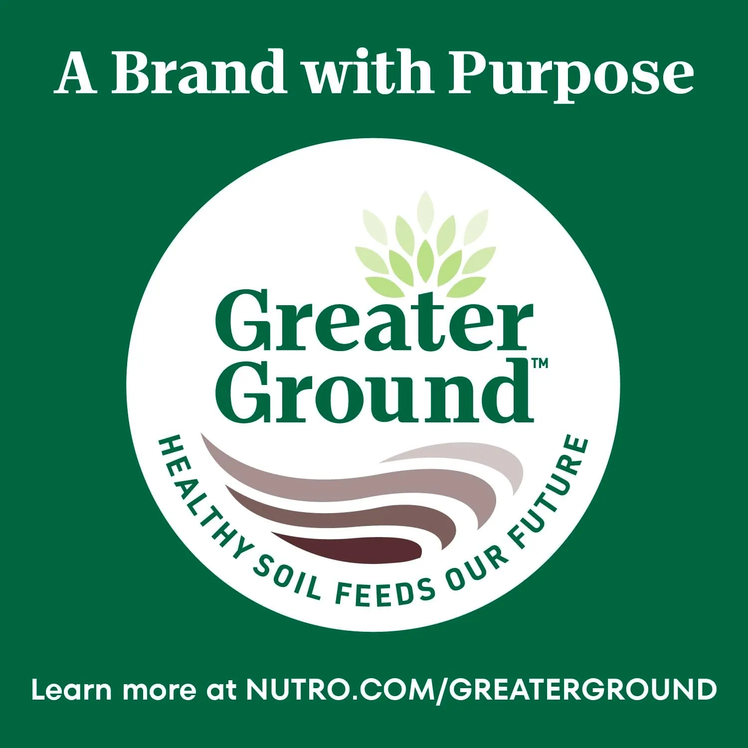 Nutro Wholesome Essentials Dry Cat Food Hairball Control Chicken & Brown Rice Recipe, 5lb. Bag