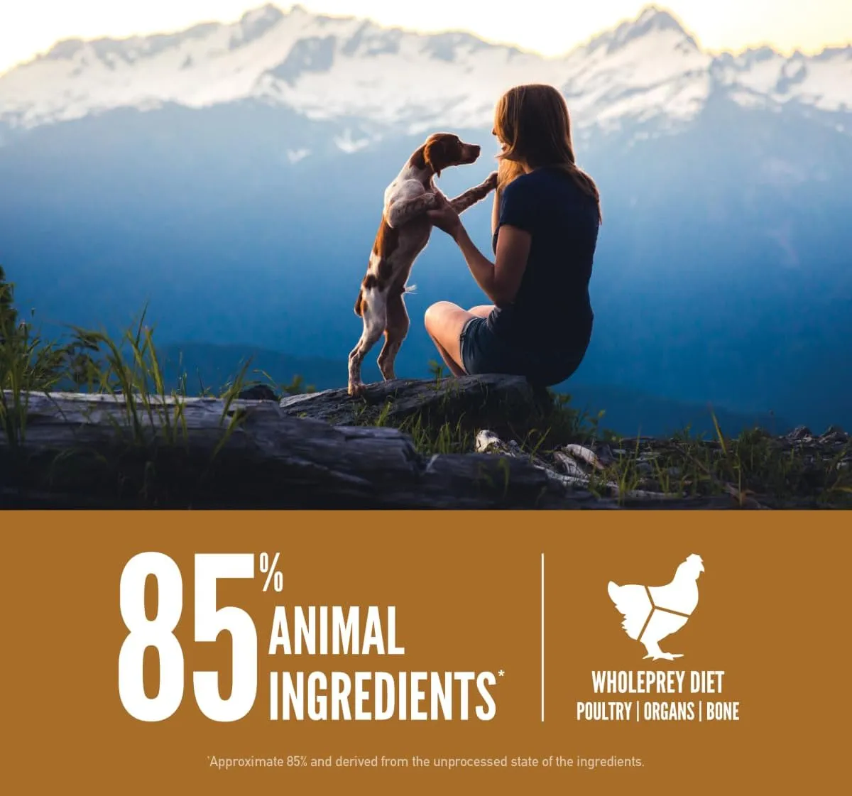 ORIJEN Puppy Dry Dog Food, Grain Free Dry Dog Food for Puppies, Fresh or Raw Ingredients, 23.5lb