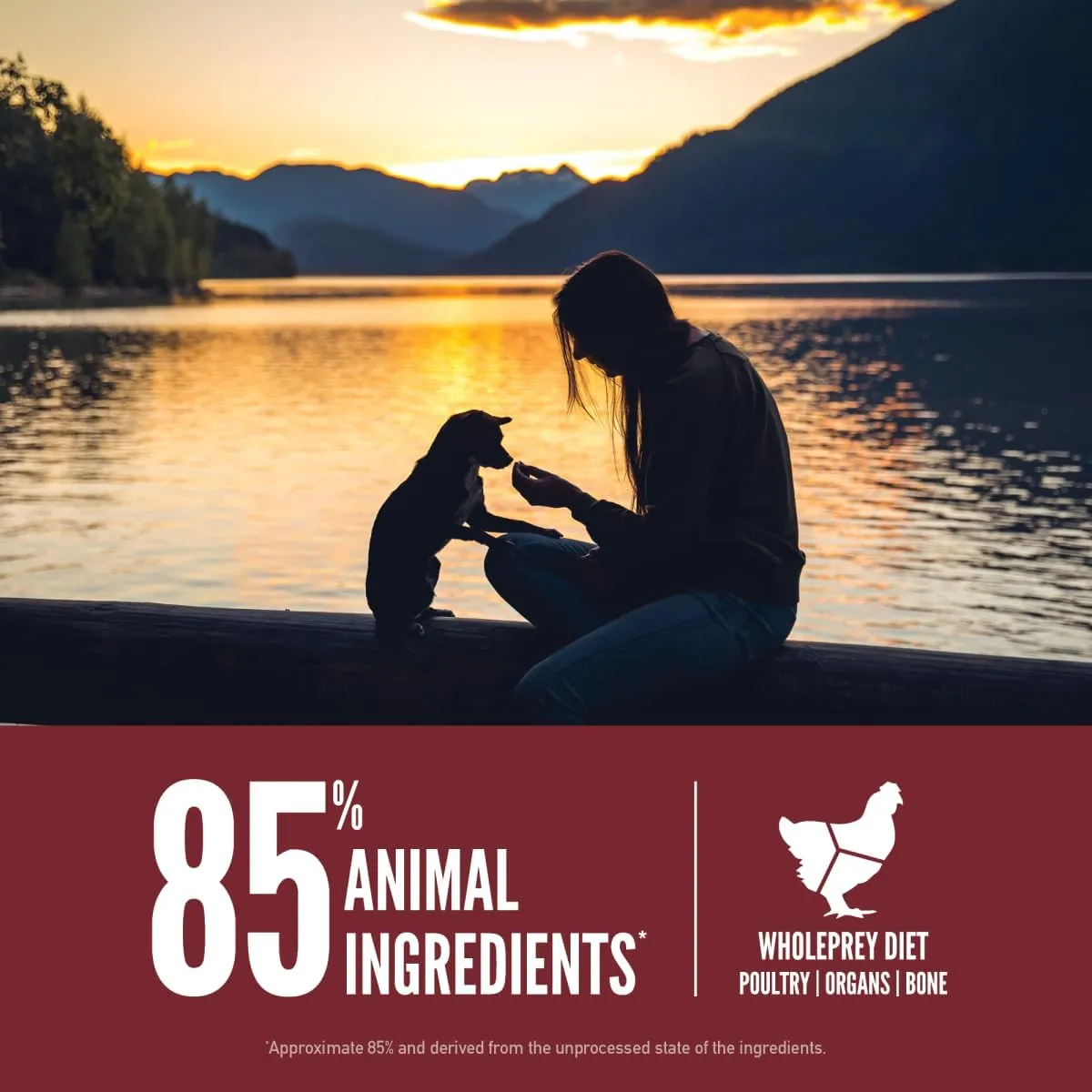 ORIJEN Small Breed Dry Dog Food, Grain Free Dry Dog Food for Small Breeds, Fresh or Raw Ingredients, 10lb