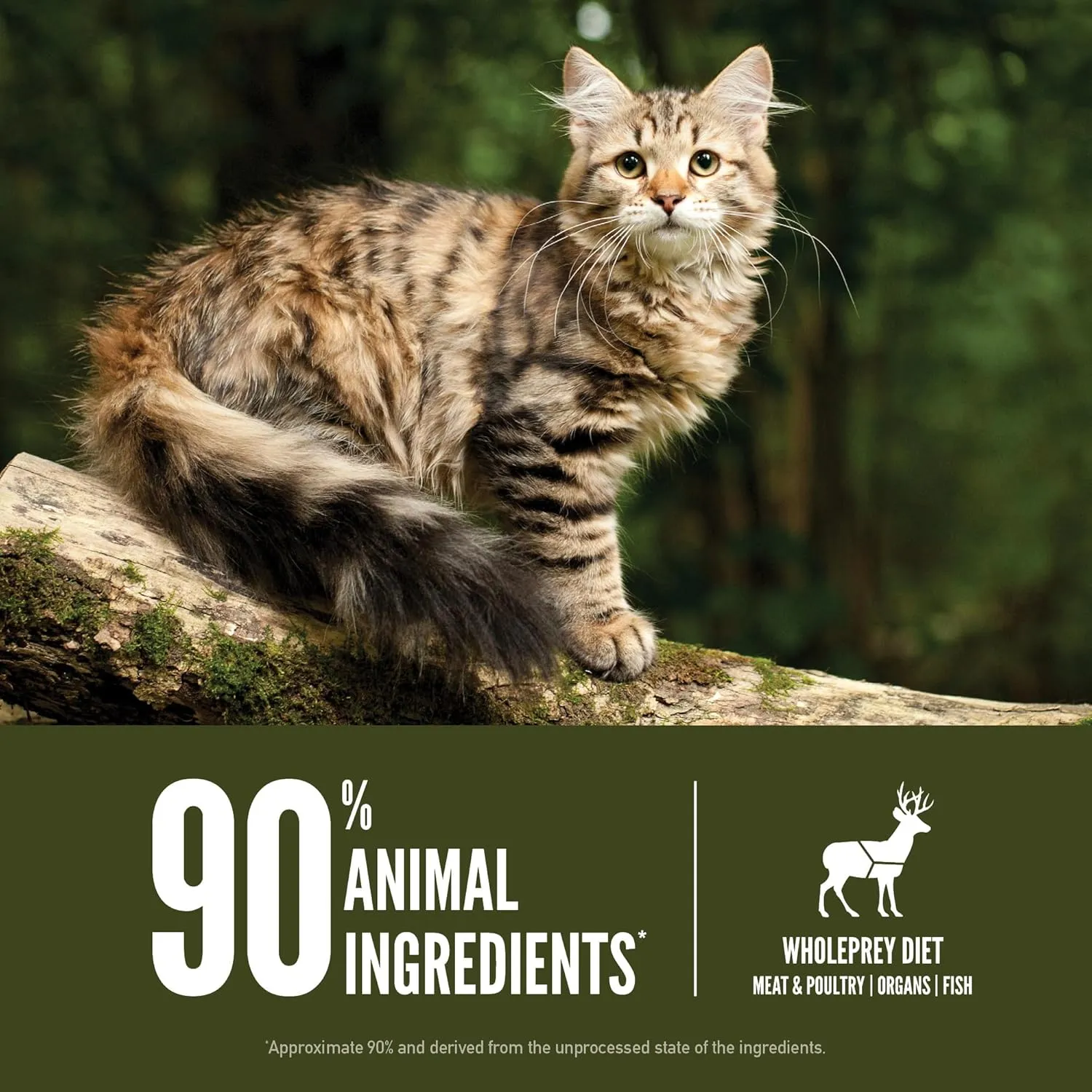 ORIJEN Tundra Dry Cat Food, Grain Free Cat Food for All Life Stages, WholePrey Diet, 4lb