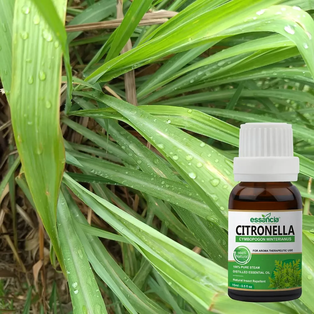 Pack of 3 Essential Oils (Peppermint, Lemon, Citronella)