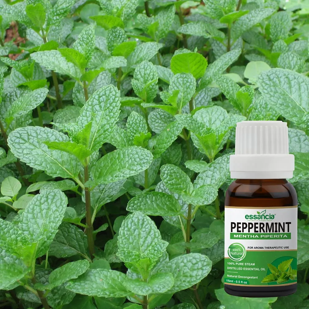 Pack of 3 Essential Oils (Peppermint, Lemon, Citronella)