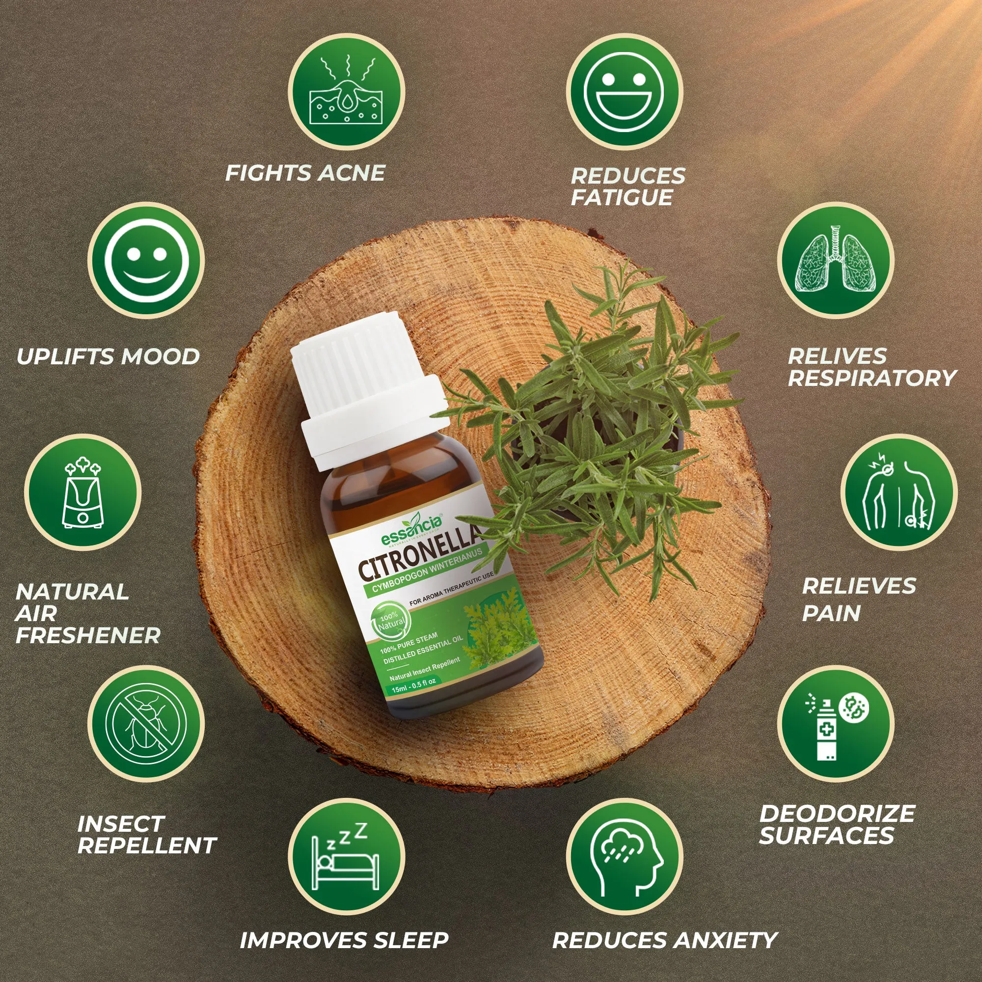 Pack of 6 Essential oils ( Tea Tree, Basil, Bergamot, Cinnamon, Cedarwood, Citronella)