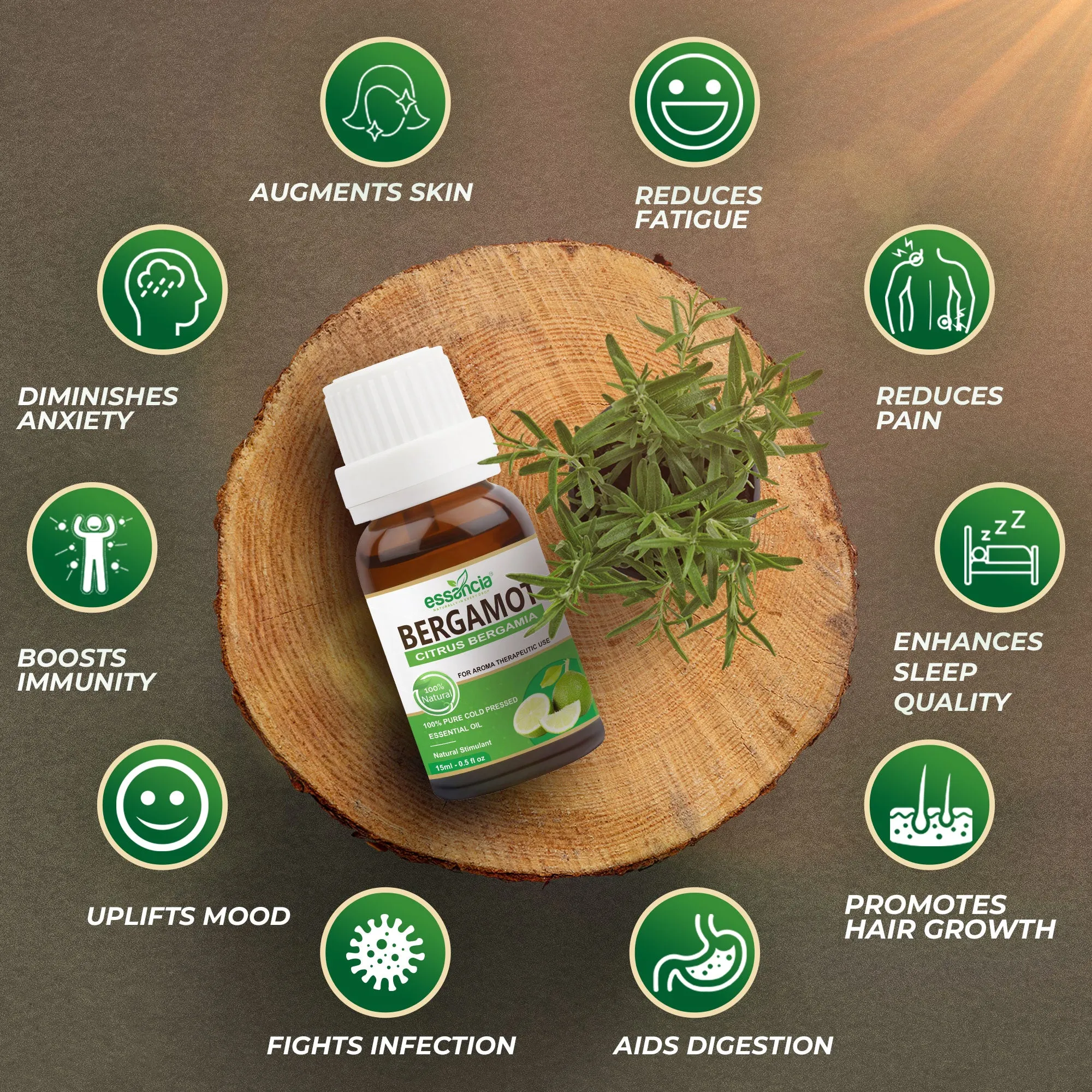 Pack of 6 Essential oils ( Tea Tree, Basil, Bergamot, Cinnamon, Cedarwood, Citronella)