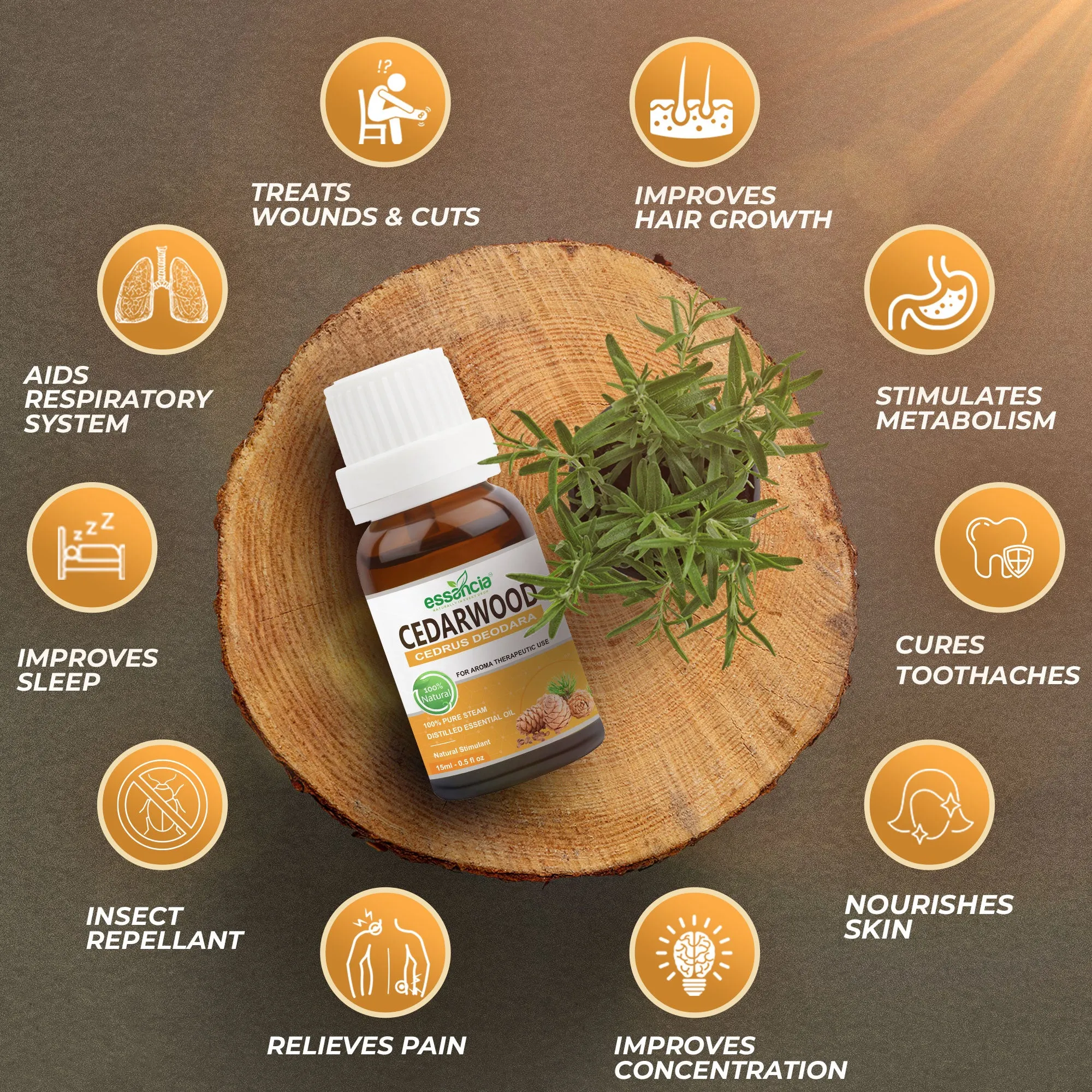 Pack of 6 Essential oils ( Tea Tree, Basil, Bergamot, Cinnamon, Cedarwood, Citronella)