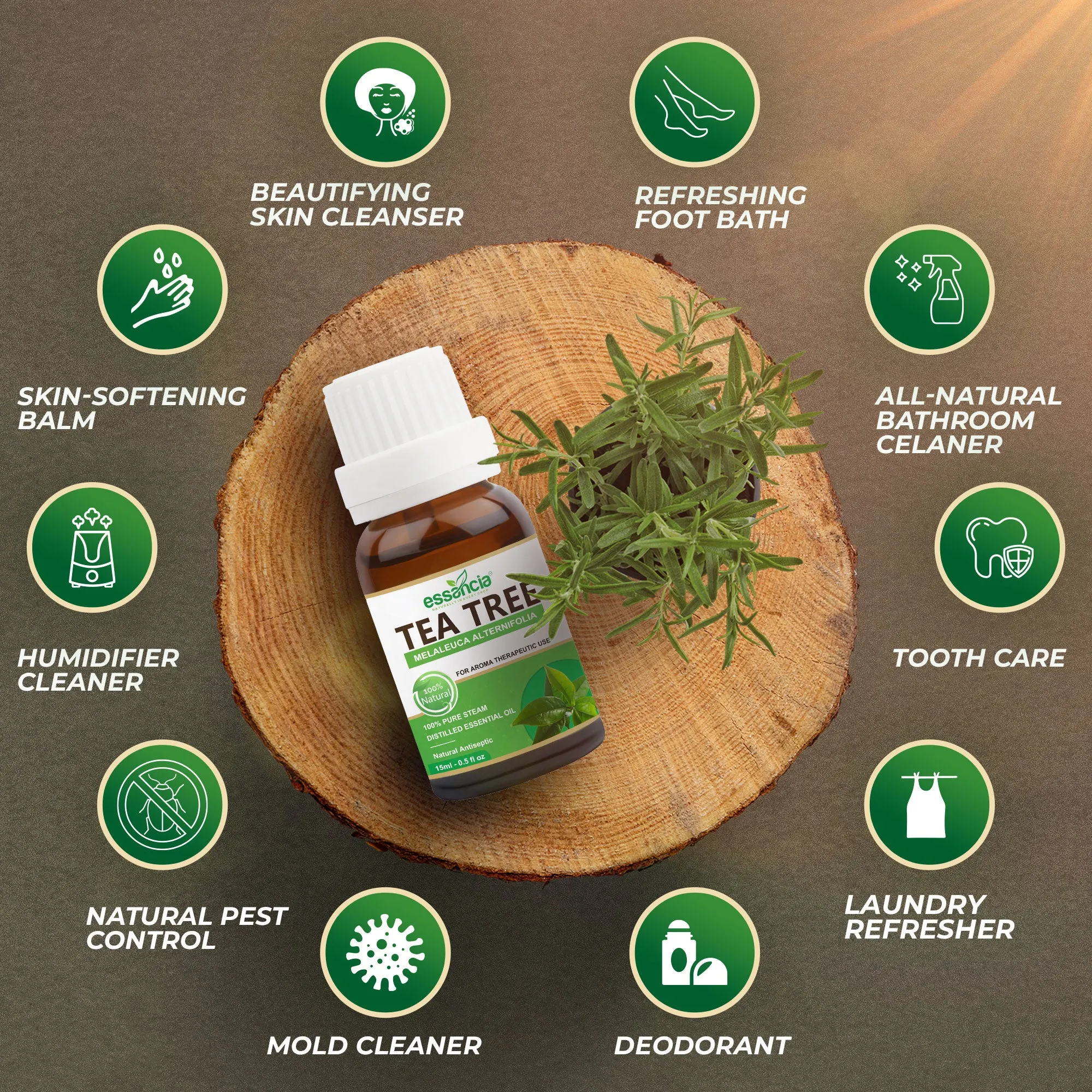 Pack of 6 Essential oils ( Tea Tree, Basil, Bergamot, Cinnamon, Cedarwood, Citronella)