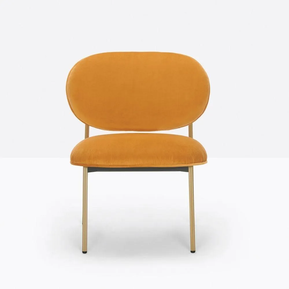 Pedrali Blume 2951 padded lounge chair in fabric or velvet
