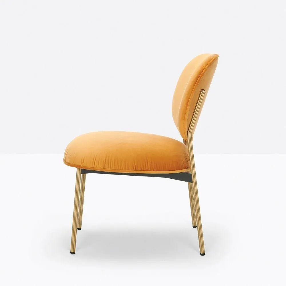 Pedrali Blume 2951 padded lounge chair in fabric or velvet