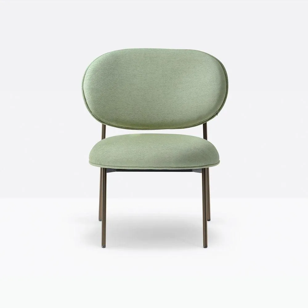 Pedrali Blume 2951 padded lounge chair in fabric or velvet