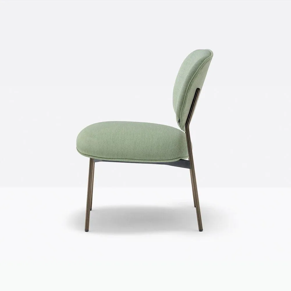 Pedrali Blume 2951 padded lounge chair in fabric or velvet
