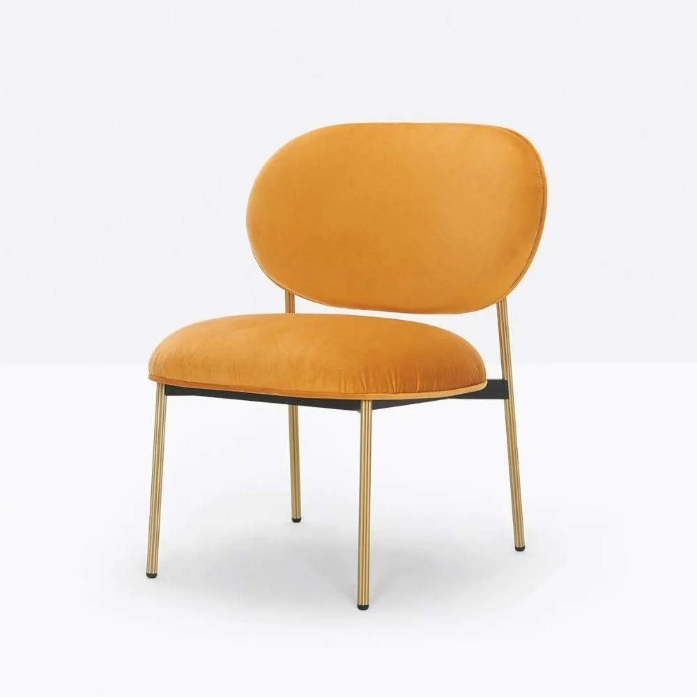 Pedrali Blume 2951 padded lounge chair in fabric or velvet