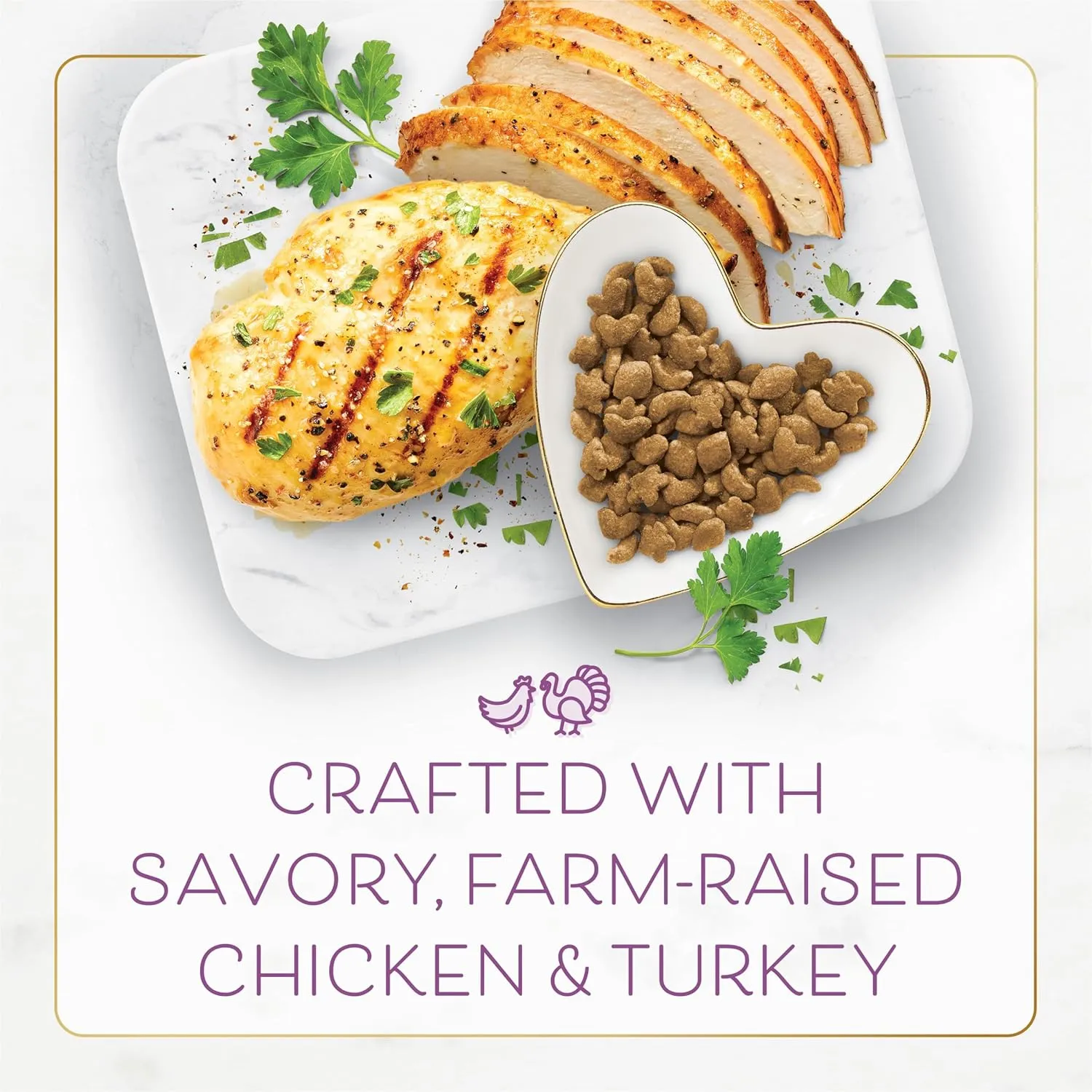 Purina Fancy Feast Dry Cat Food with Savory Farm-Raised Chicken and Turkey - 12 lb. Bag