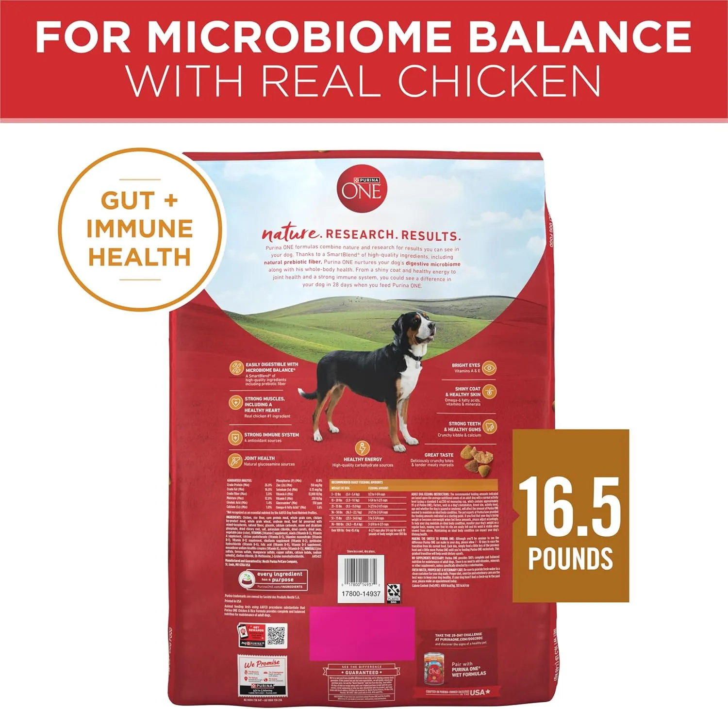 Purina ONE Chicken and Rice Formula Dry Dog Food - 16.5 lb. Bag
