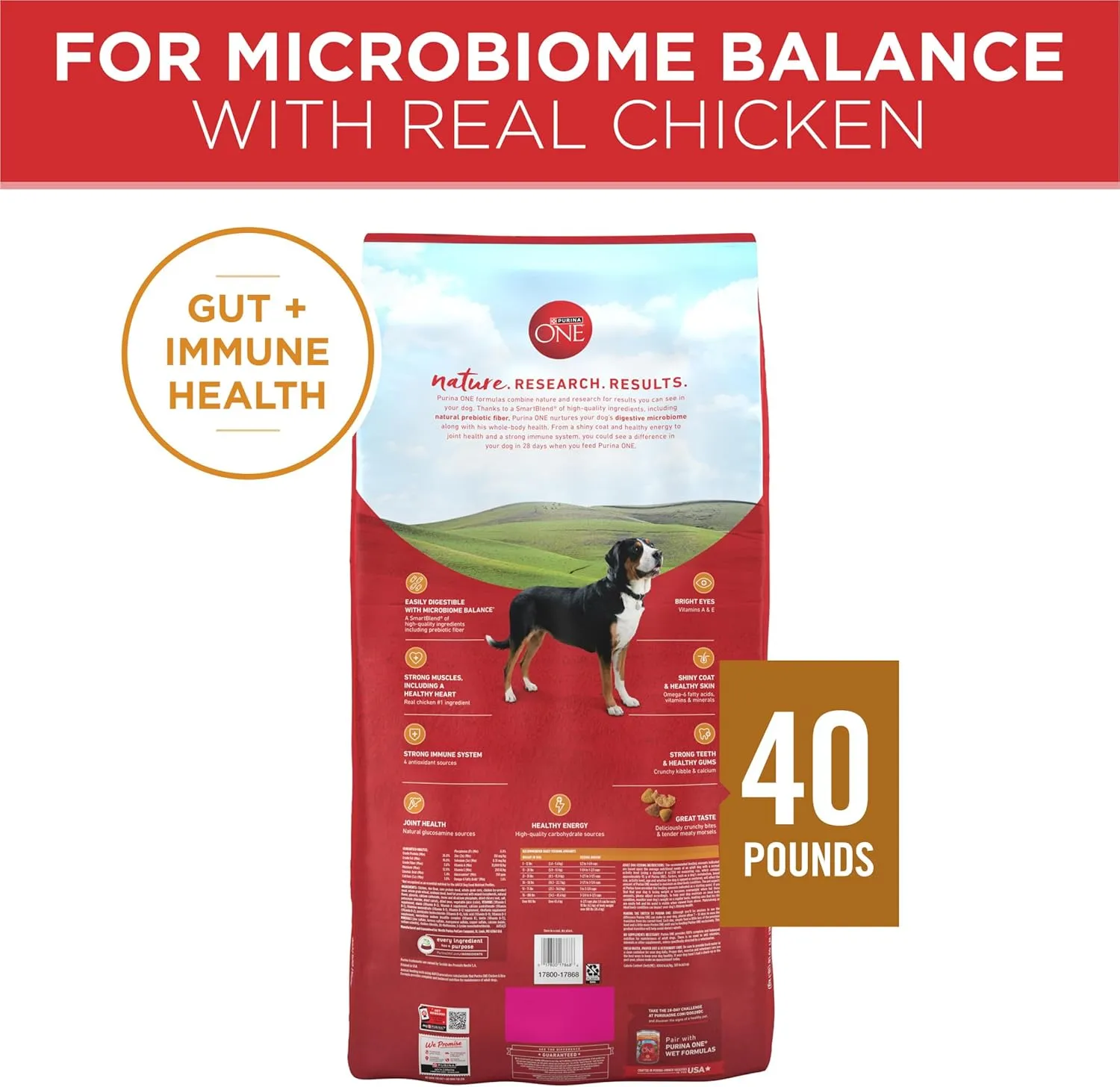 Purina ONE Chicken and Rice Formula Dry Dog Food - 40 lb. Bag