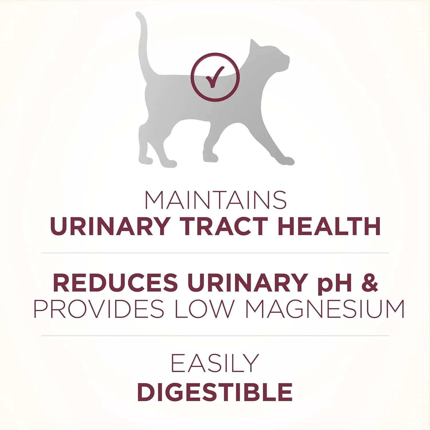 Purina ONE High Protein Dry Cat Food,  Plus Urinary Tract Health Formula - 22 lb. Bag