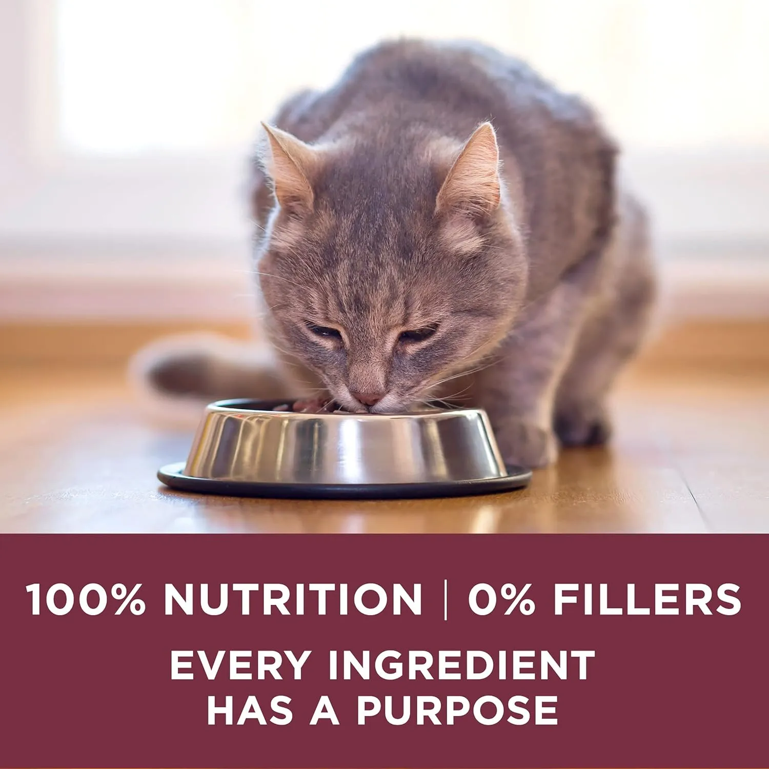 Purina ONE High Protein Dry Cat Food,  Plus Urinary Tract Health Formula - 22 lb. Bag