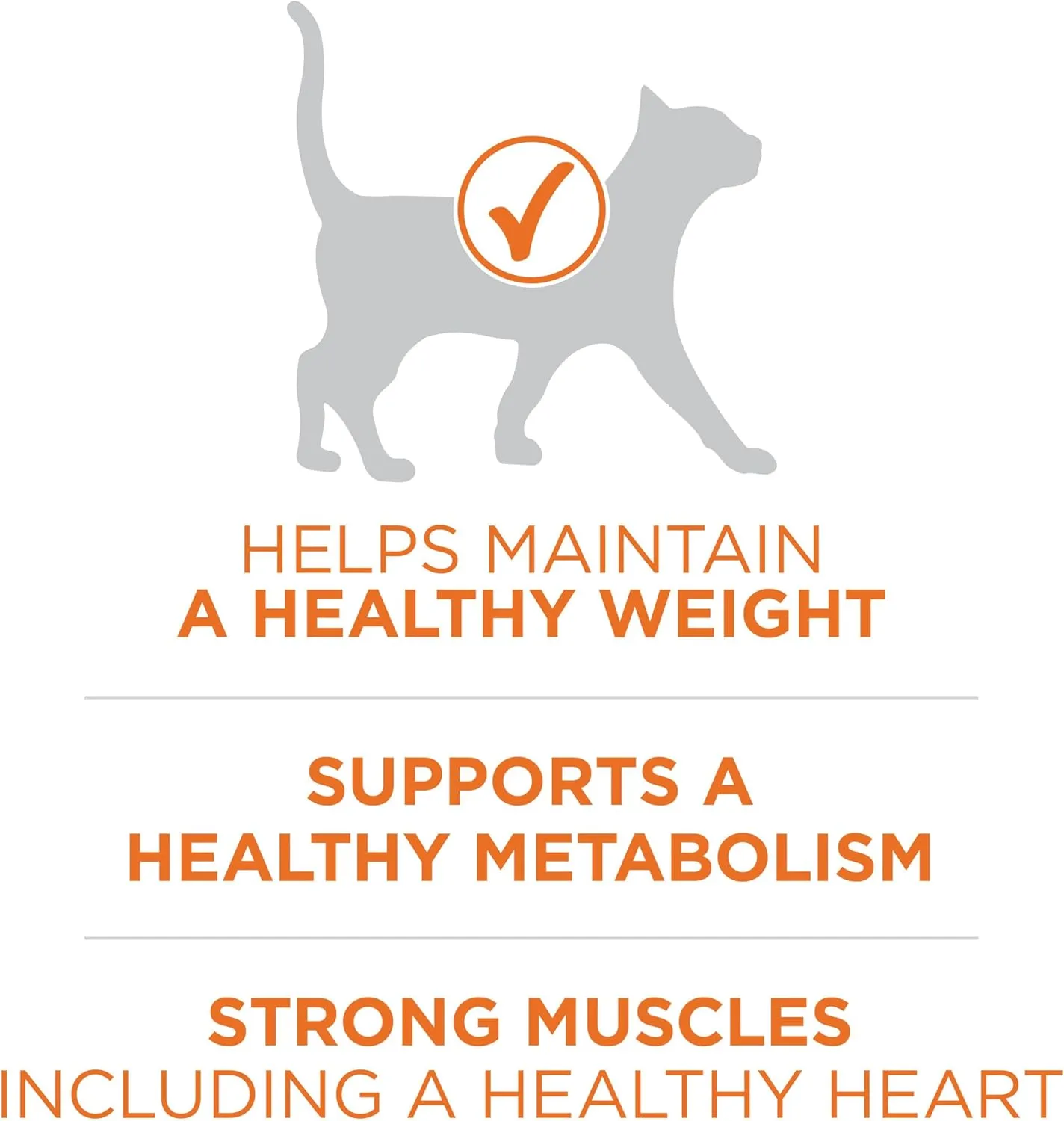 Purina ONE High Protein, Healthy Weight Plus Ideal Weight With Chicken Dry Cat Food - 22 lb. Bag