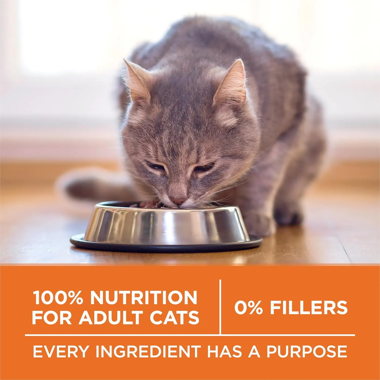Purina ONE High Protein, Healthy Weight Plus Ideal Weight With Chicken Dry Cat Food - 22 lb. Bag