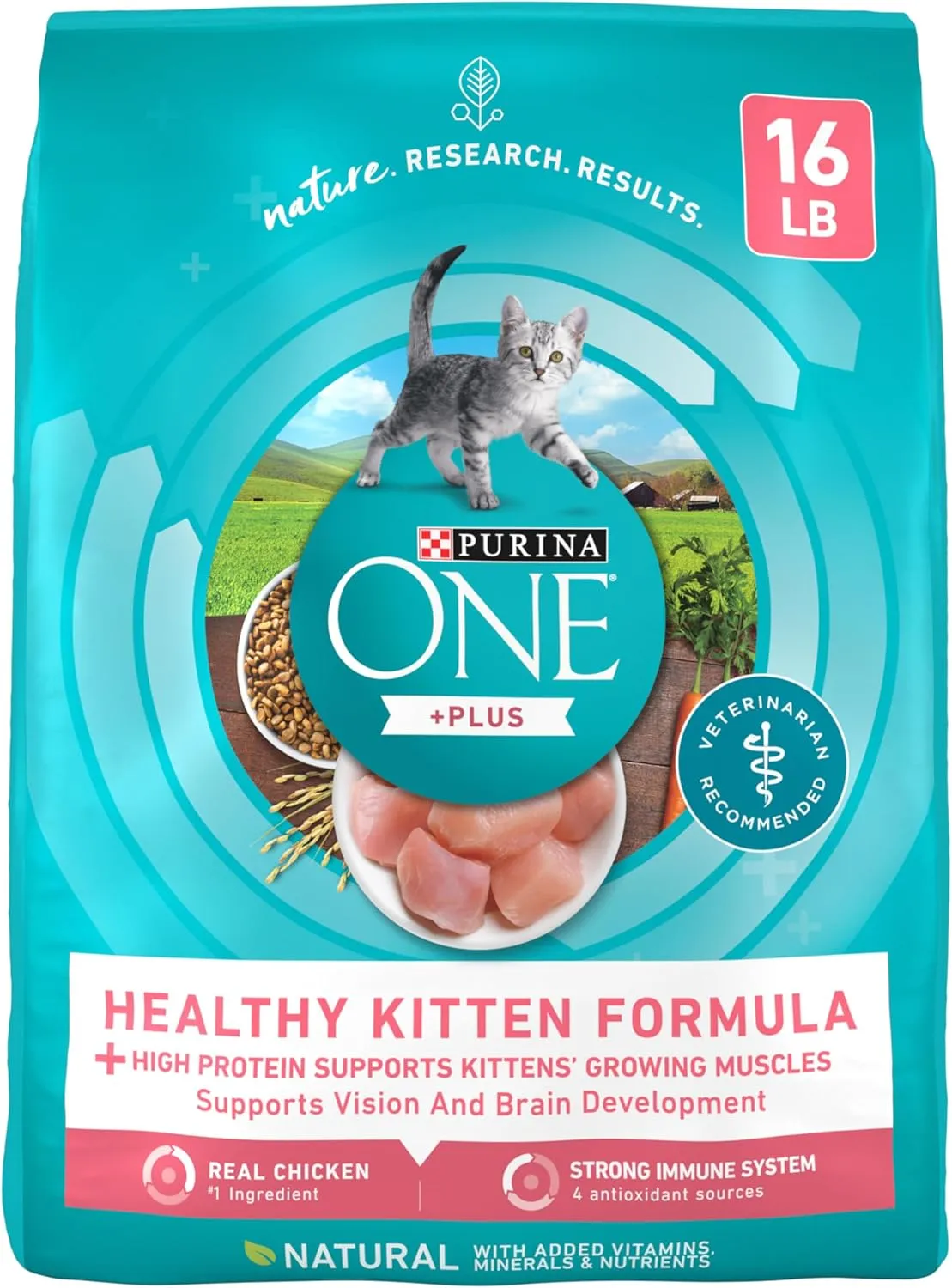 Purina ONE High Protein, Natural Dry Kitten Food,  Plus Healthy Kitten Formula - 16 lb. Bag