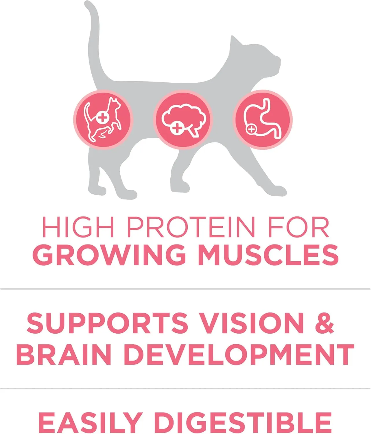 Purina ONE High Protein, Natural Dry Kitten Food,  Plus Healthy Kitten Formula - 7 lb. Bag