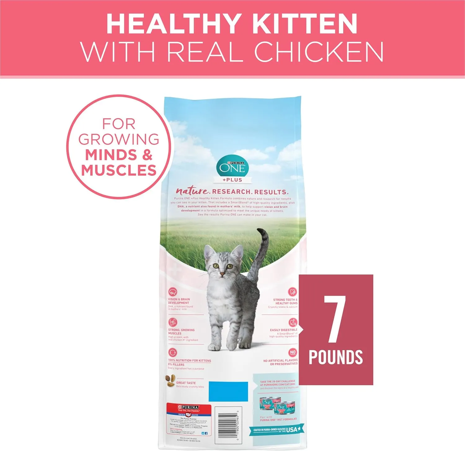 Purina ONE High Protein, Natural Dry Kitten Food,  Plus Healthy Kitten Formula - 7 lb. Bag