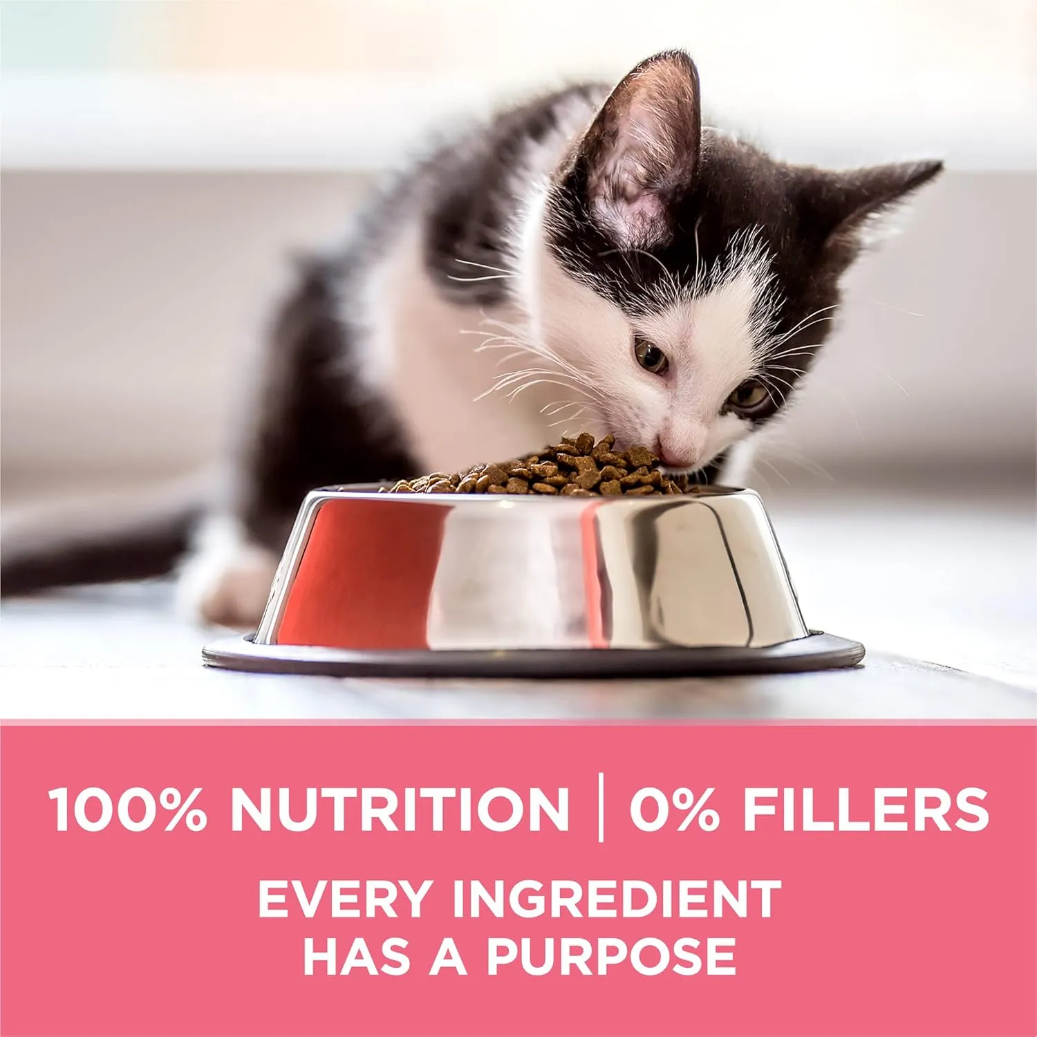 Purina ONE High Protein, Natural Dry Kitten Food,  Plus Healthy Kitten Formula - 7 lb. Bag