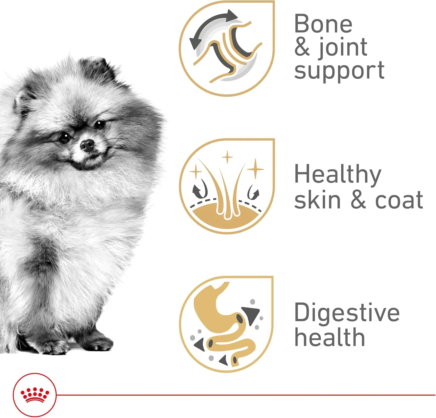 Royal Canin Breed Health Nutrition Pomeranian Dry Dog Food​, 2.5 lb bag