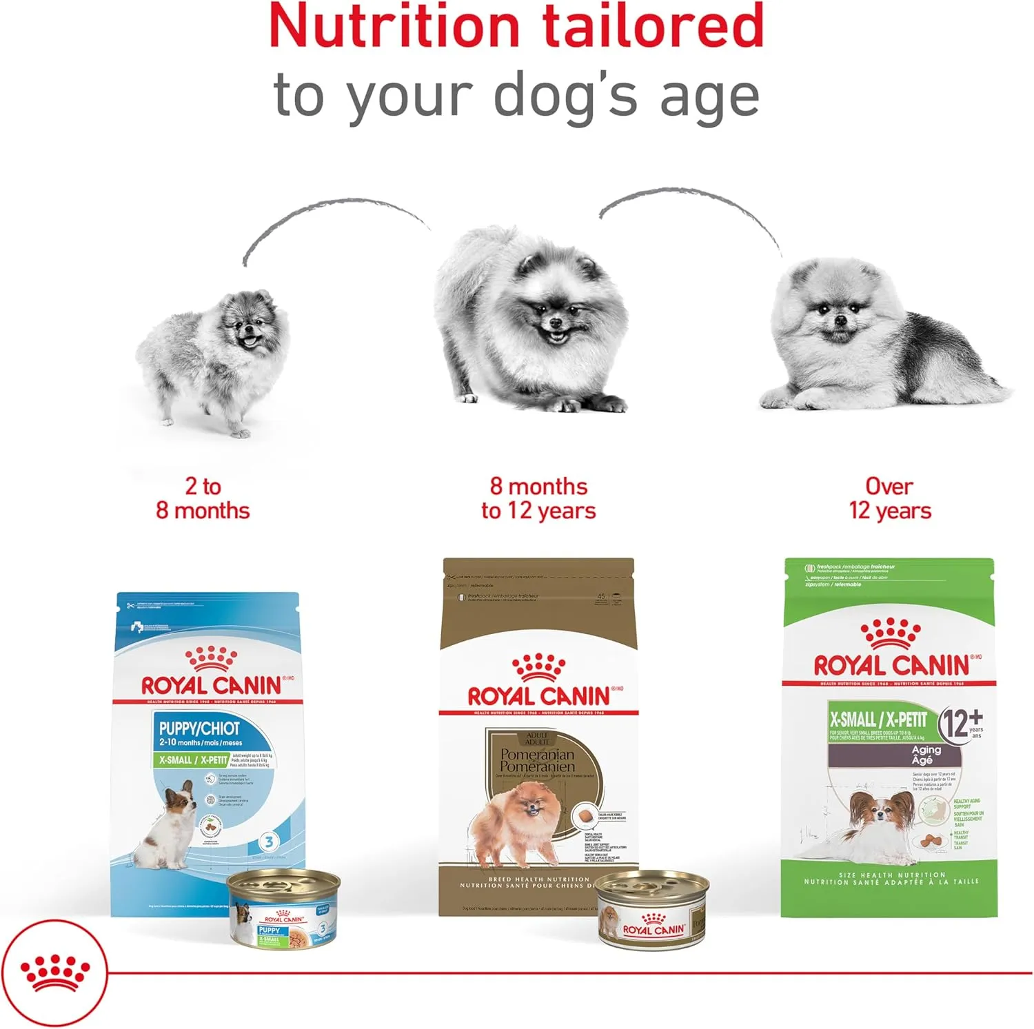 Royal Canin Breed Health Nutrition Pomeranian Dry Dog Food​, 2.5 lb bag