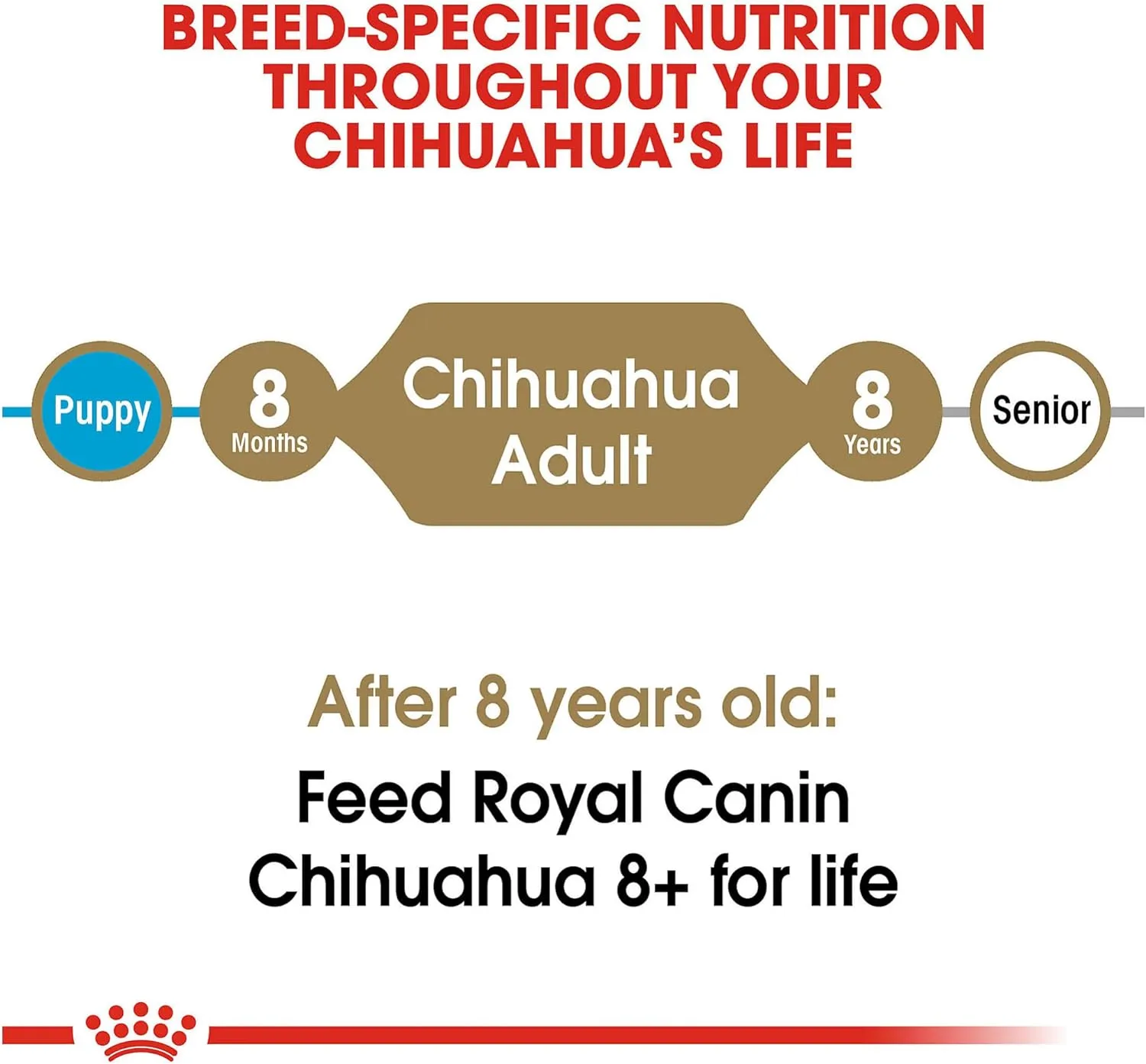 Royal Canin Chihuahua Adult Breed Specific Dry Dog Food, 2.5 lb. Bag