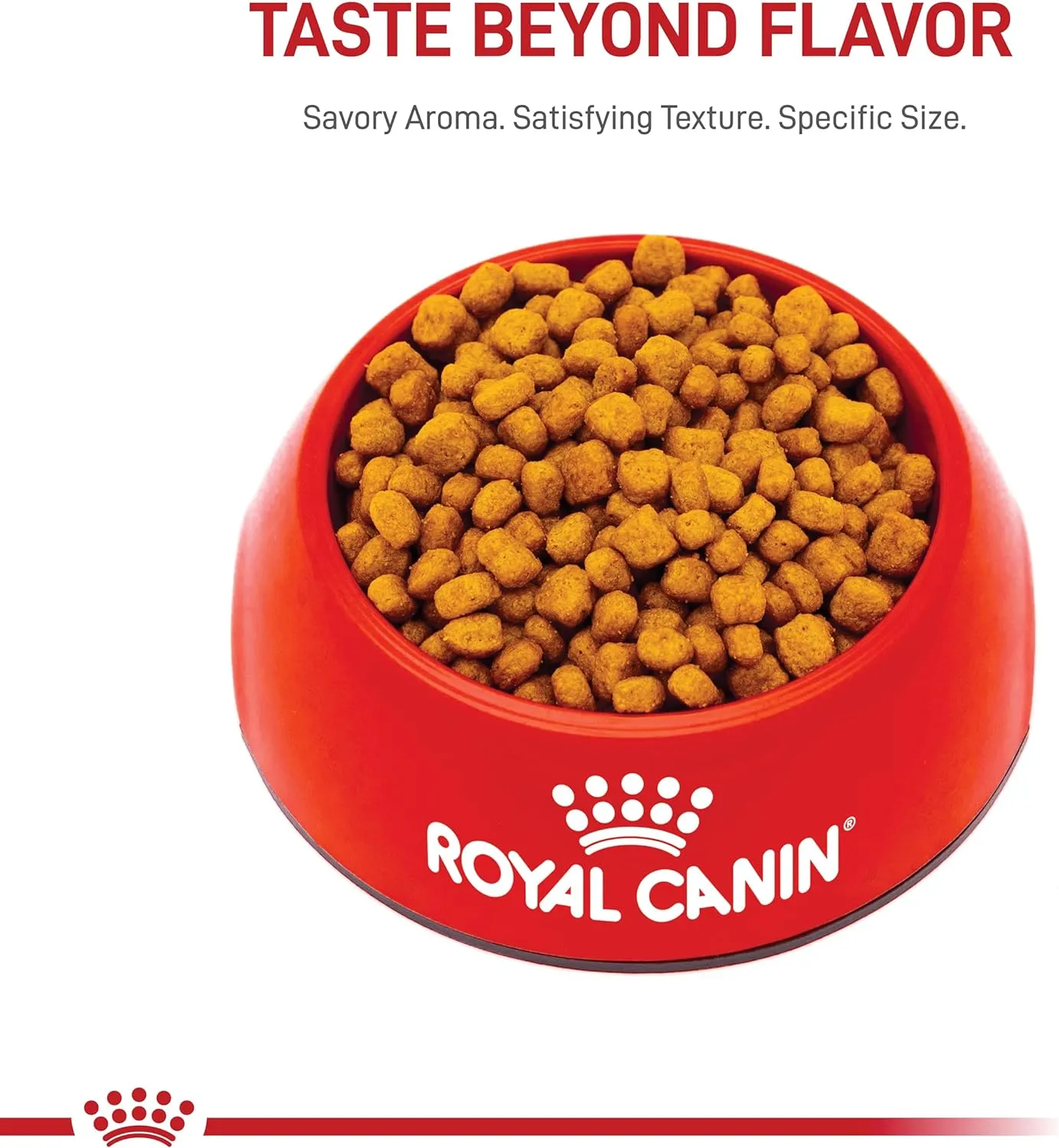 Royal Canin Chihuahua Adult Breed Specific Dry Dog Food, 2.5 lb. Bag