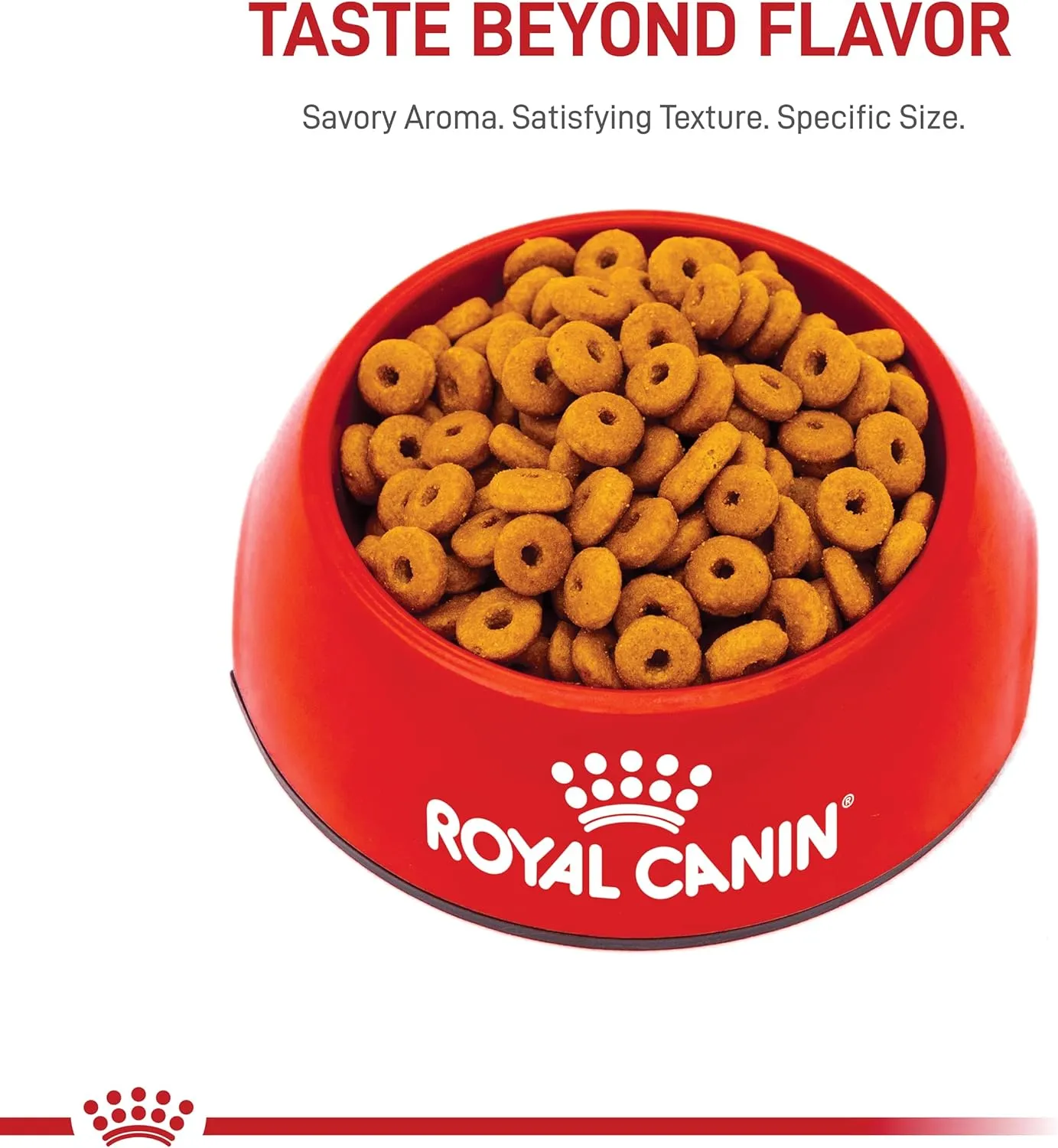 Royal Canin Feline Care Nutrition Digestive Care Dry Cat Food, 3 lb bag