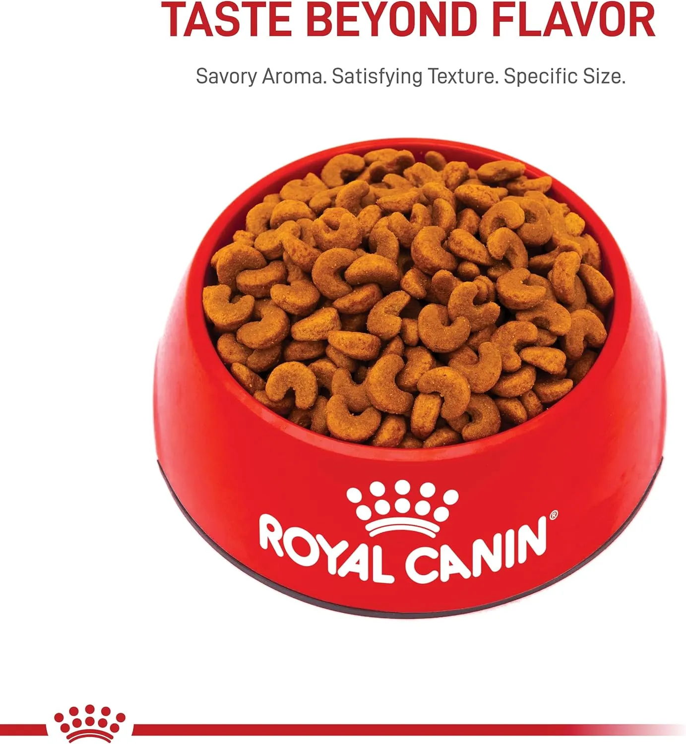 Royal Canin French Bulldog Puppy Dry Dog Food, 3 lb bag