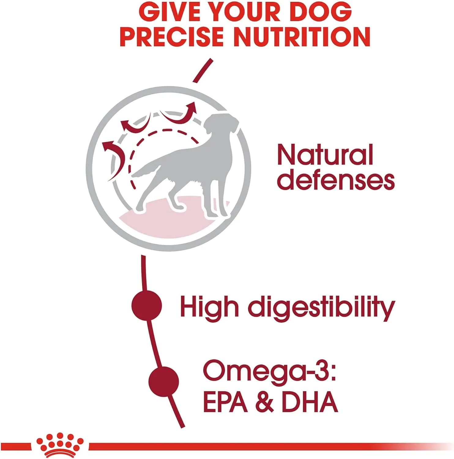 Royal Canin Size Health Nutrition Medium Adult 7 - Dry Dog Food, 30lb Bag