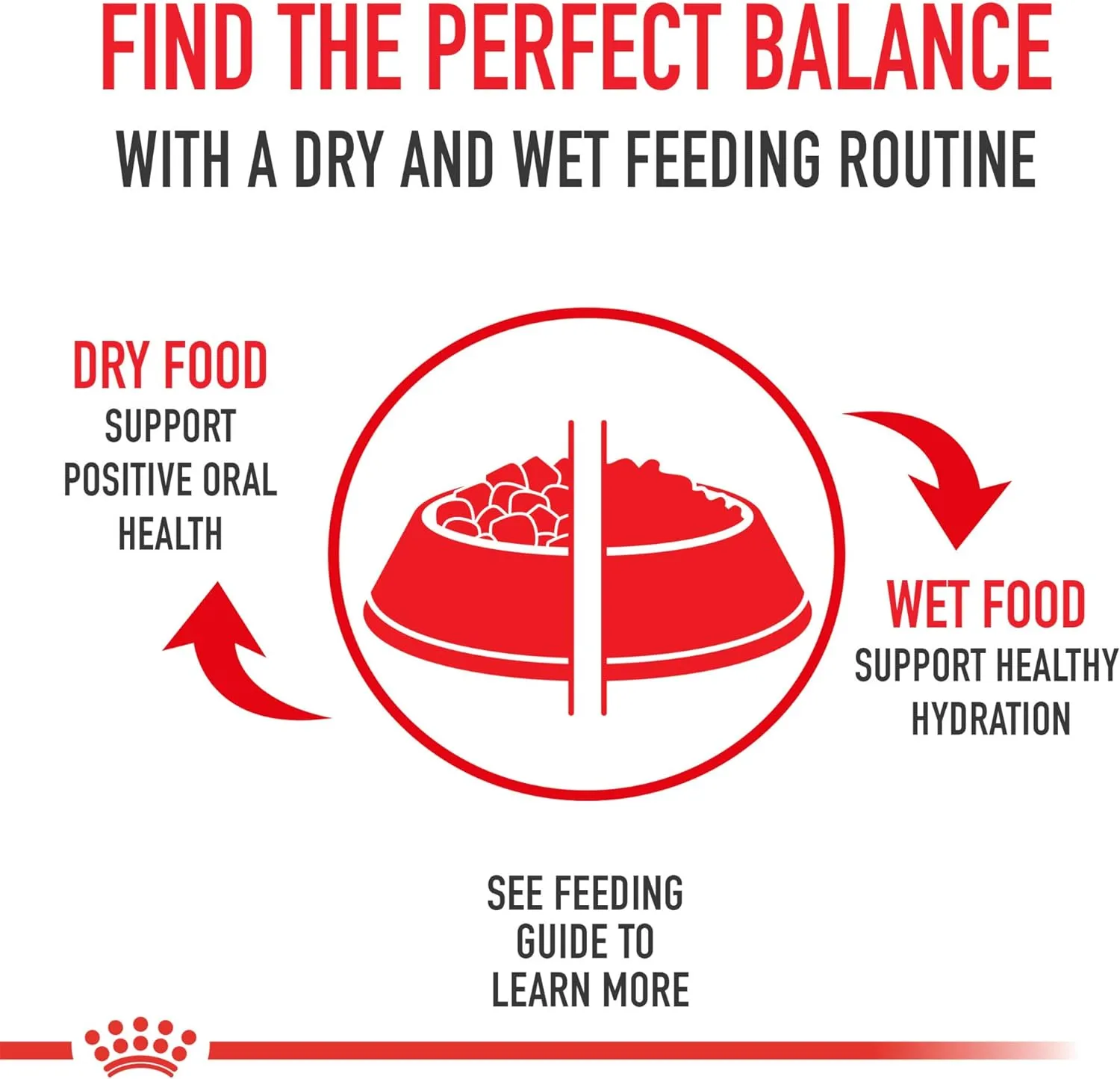 Royal Canin Size Health Nutrition Medium Adult 7 - Dry Dog Food, 30lb Bag