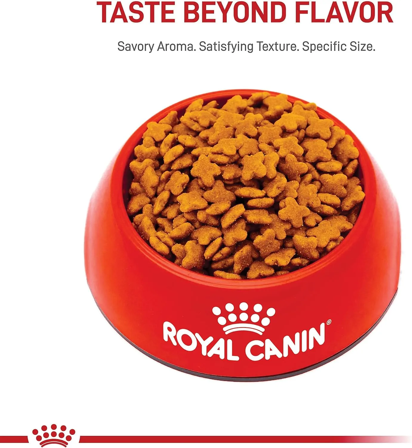 Royal Canin Size Health Nutrition Small Adult 8  Dry Dog Food, 2.5 lb bag