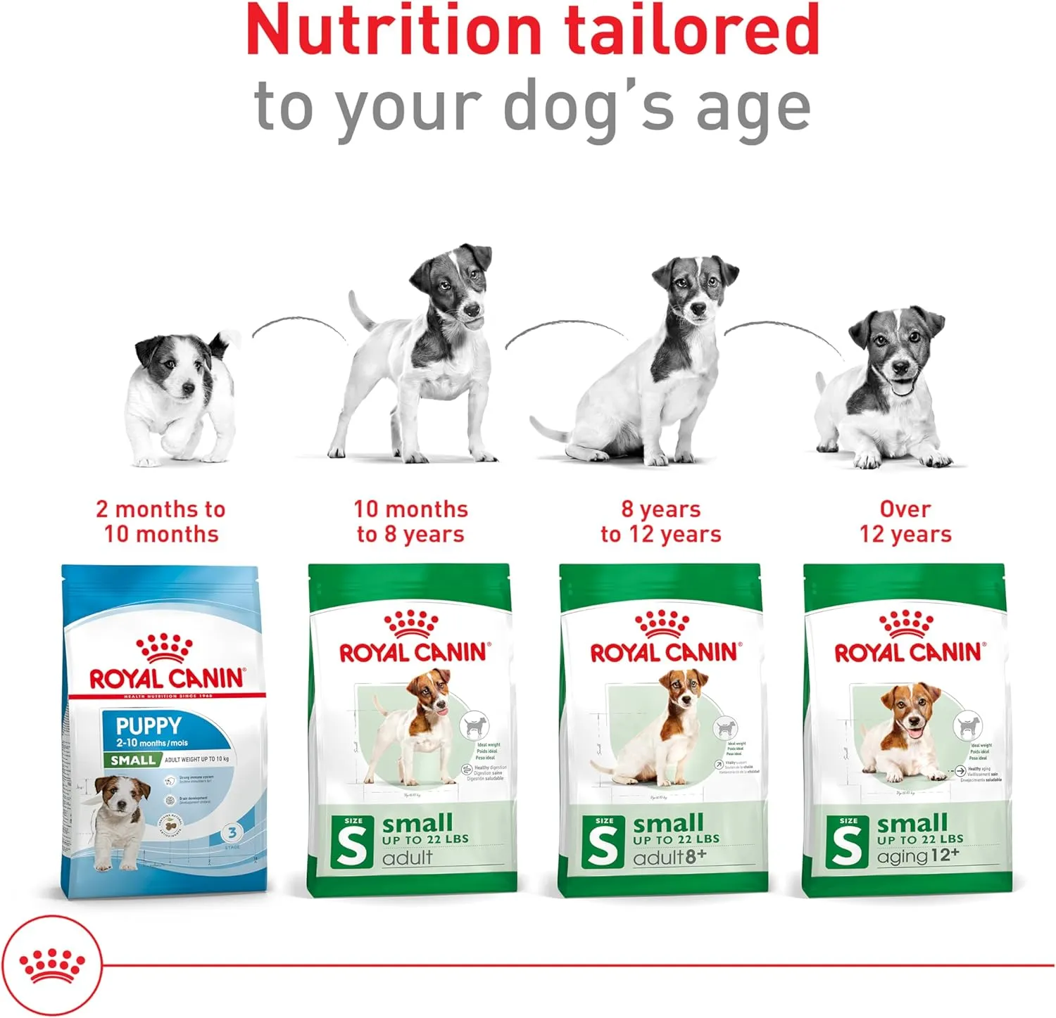 Royal Canin Size Health Nutrition Small Adult 8  Dry Dog Food, 2.5 lb bag