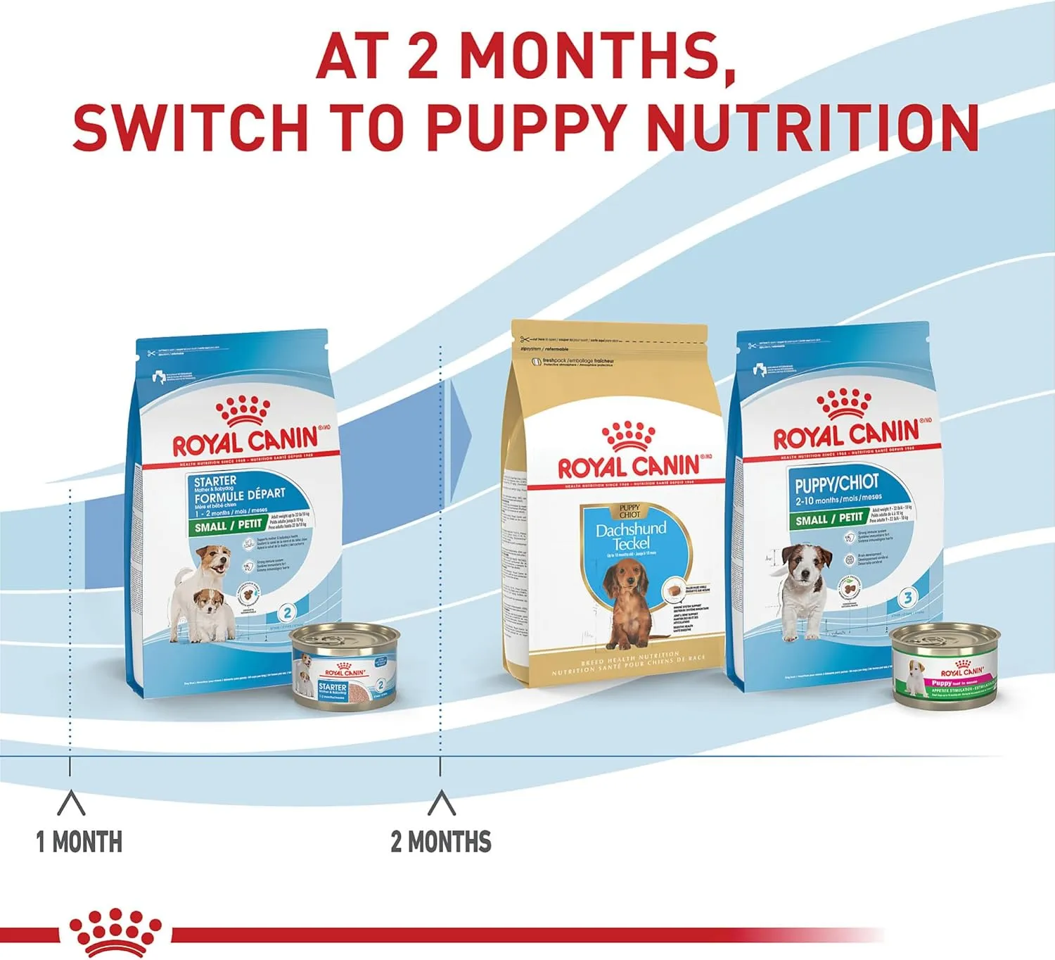 Royal Canin Size Health Nutrition Small Starter Mother & Babydog Dry Dog Food, 2.5 lb Bag