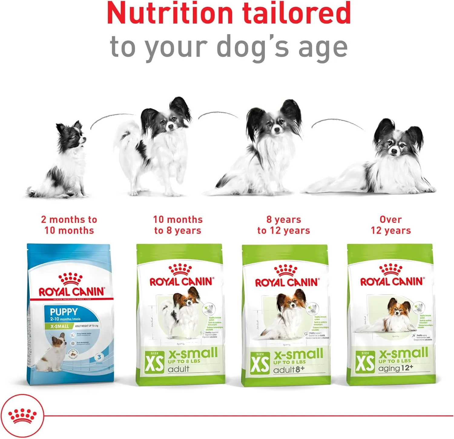 Royal Canin Size Health Nutrition X-Small Adult Dry Dog Food, 14 lb bag